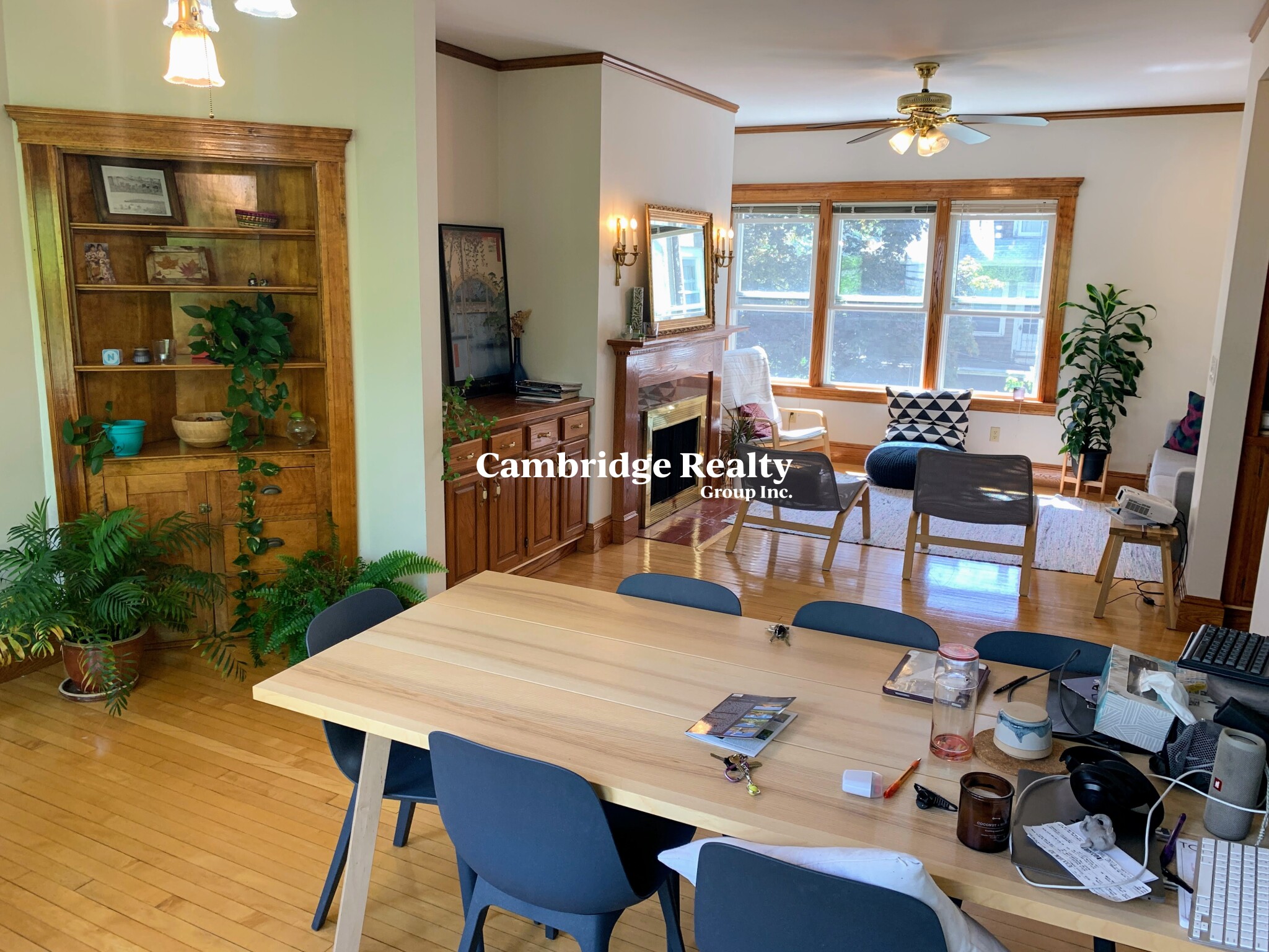 41 Hawthorn St, Harvard Square