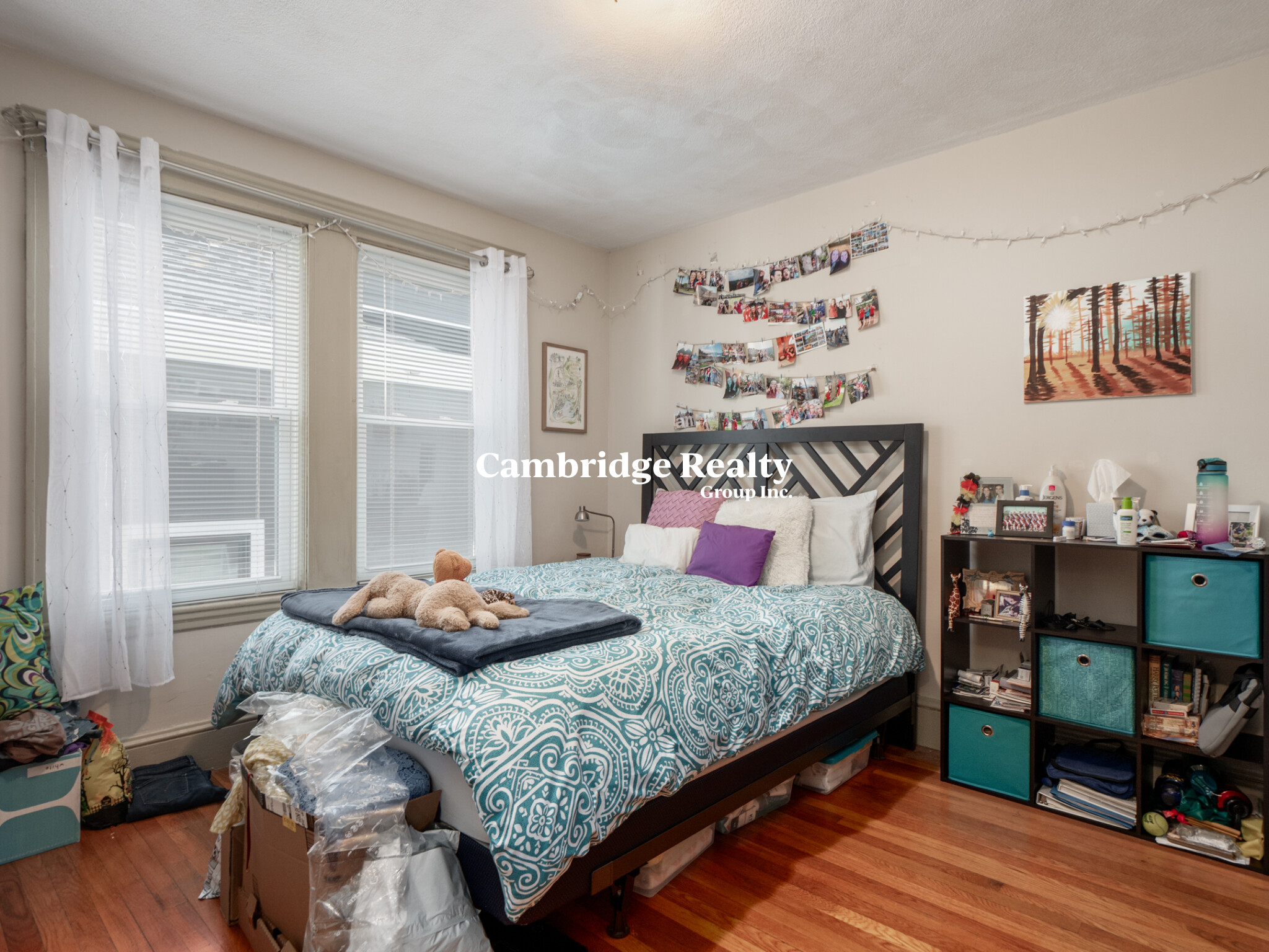 54 Upland Rd, West Somerville