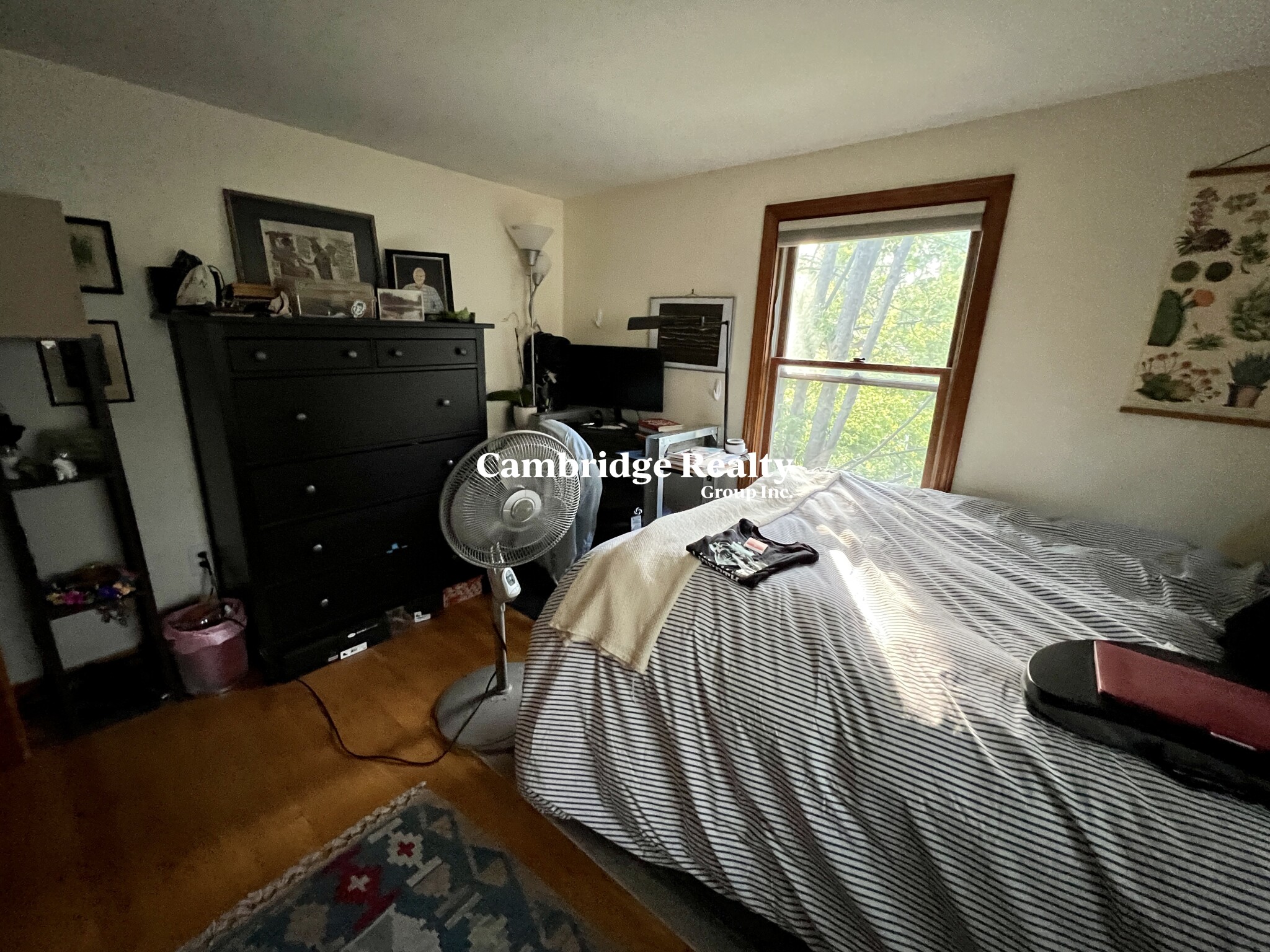 500 Green St, Central Square