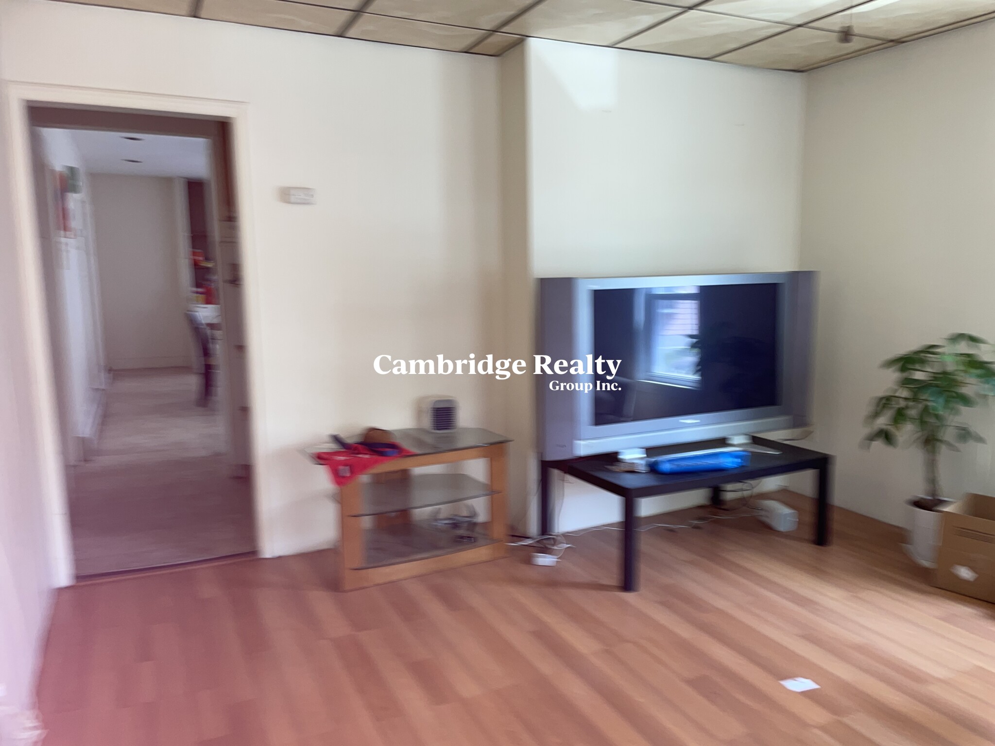 50 Gorham St, Davis Square