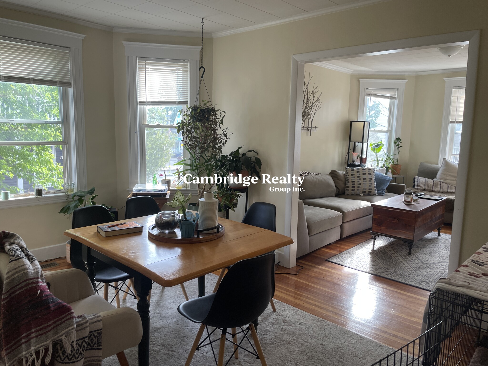 9 Belknap St, West Somerville