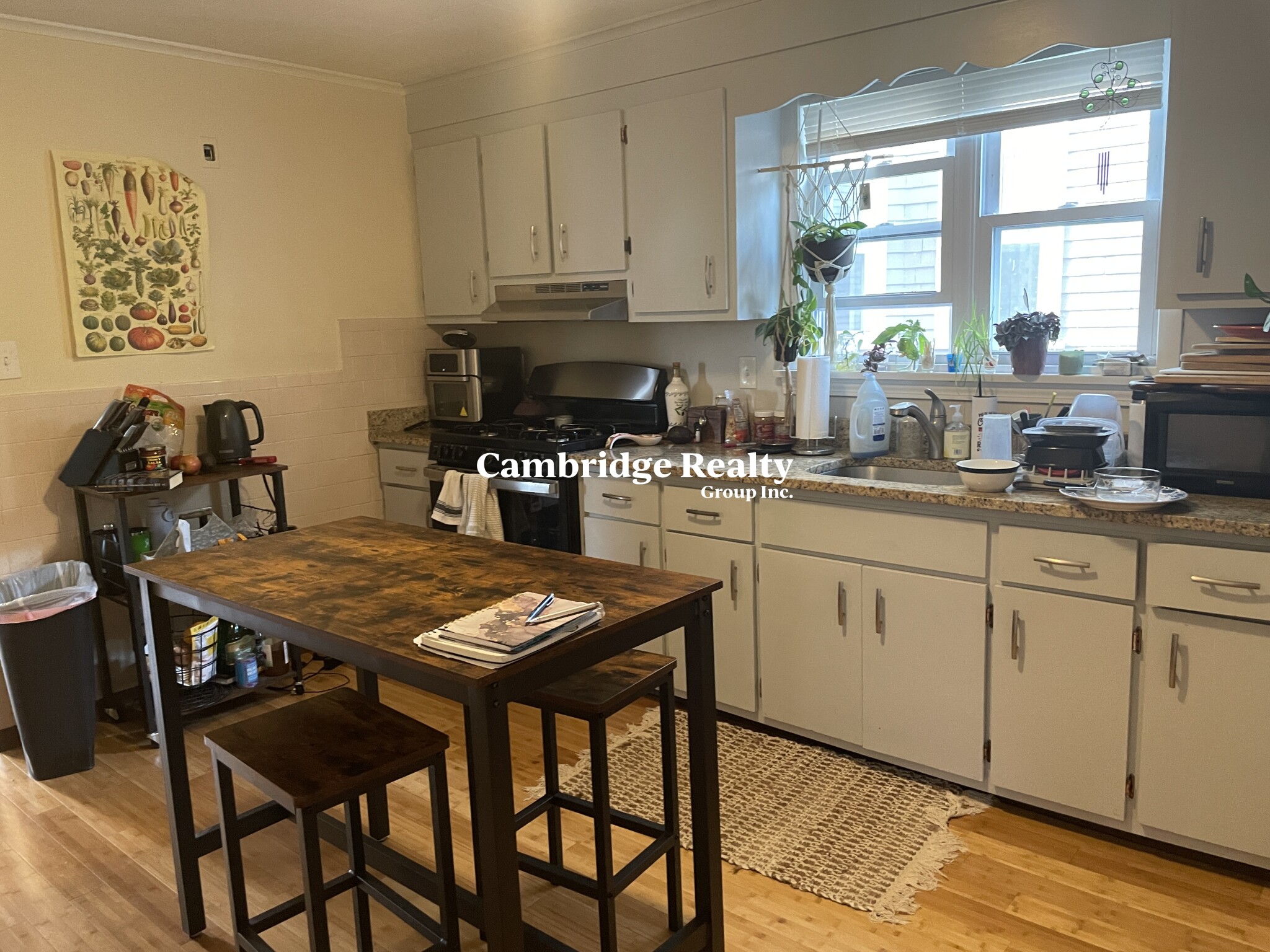 9 Belknap St, West Somerville