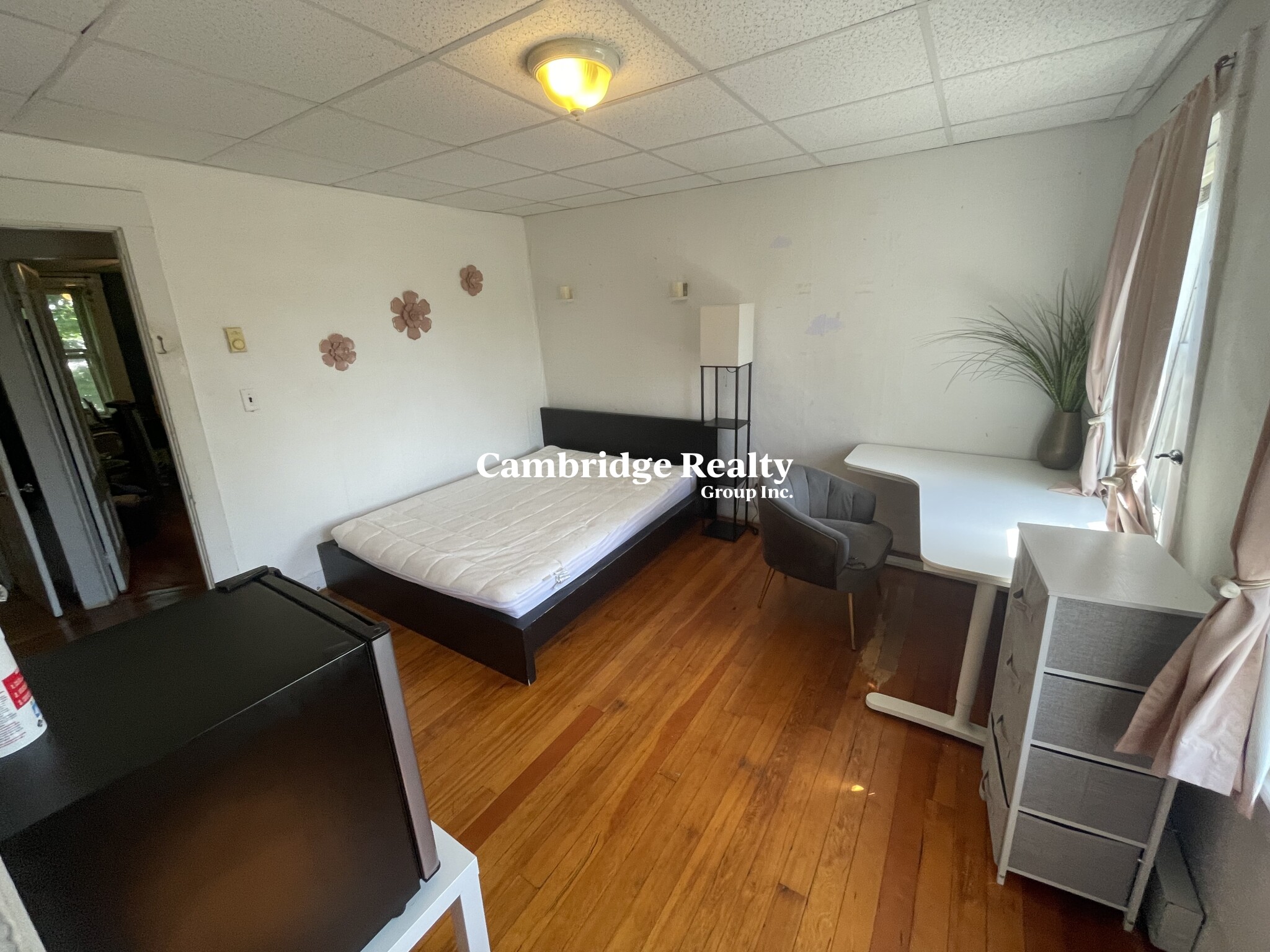 189 191 Mount Auburn St, Harvard Square