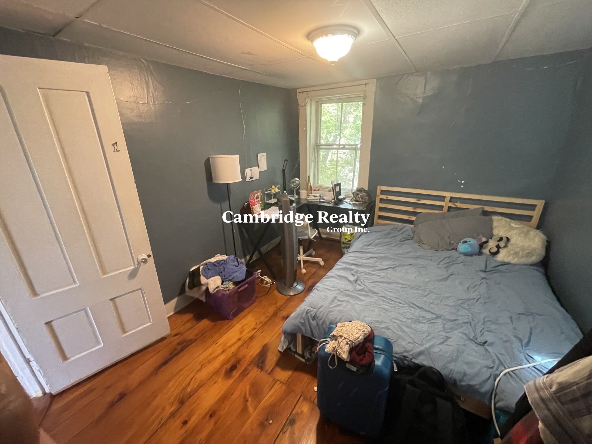 189 191 Mount Auburn St, Harvard Square