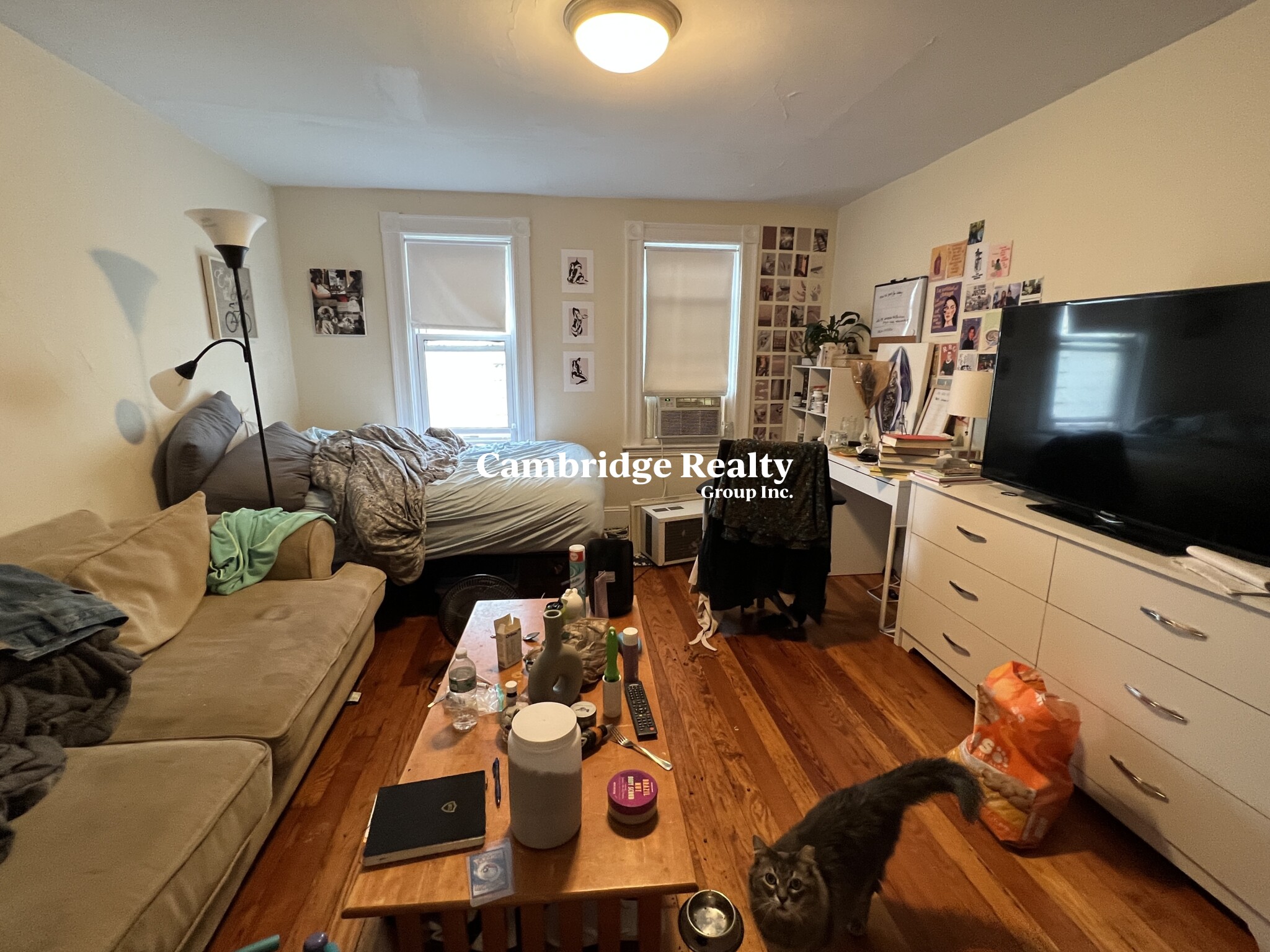 41 Ossipee Rd, Powderhouse