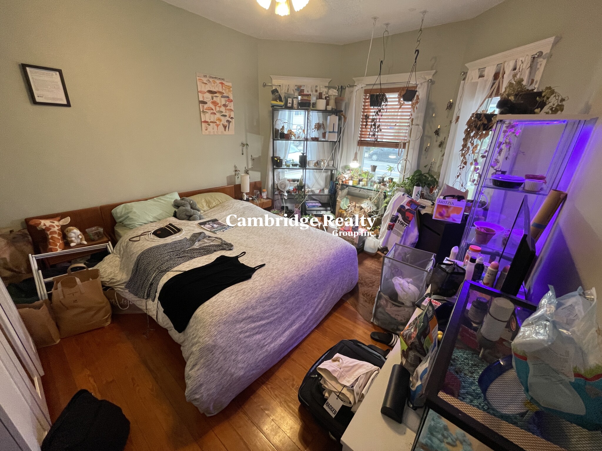 290 Boston Ave, Medford