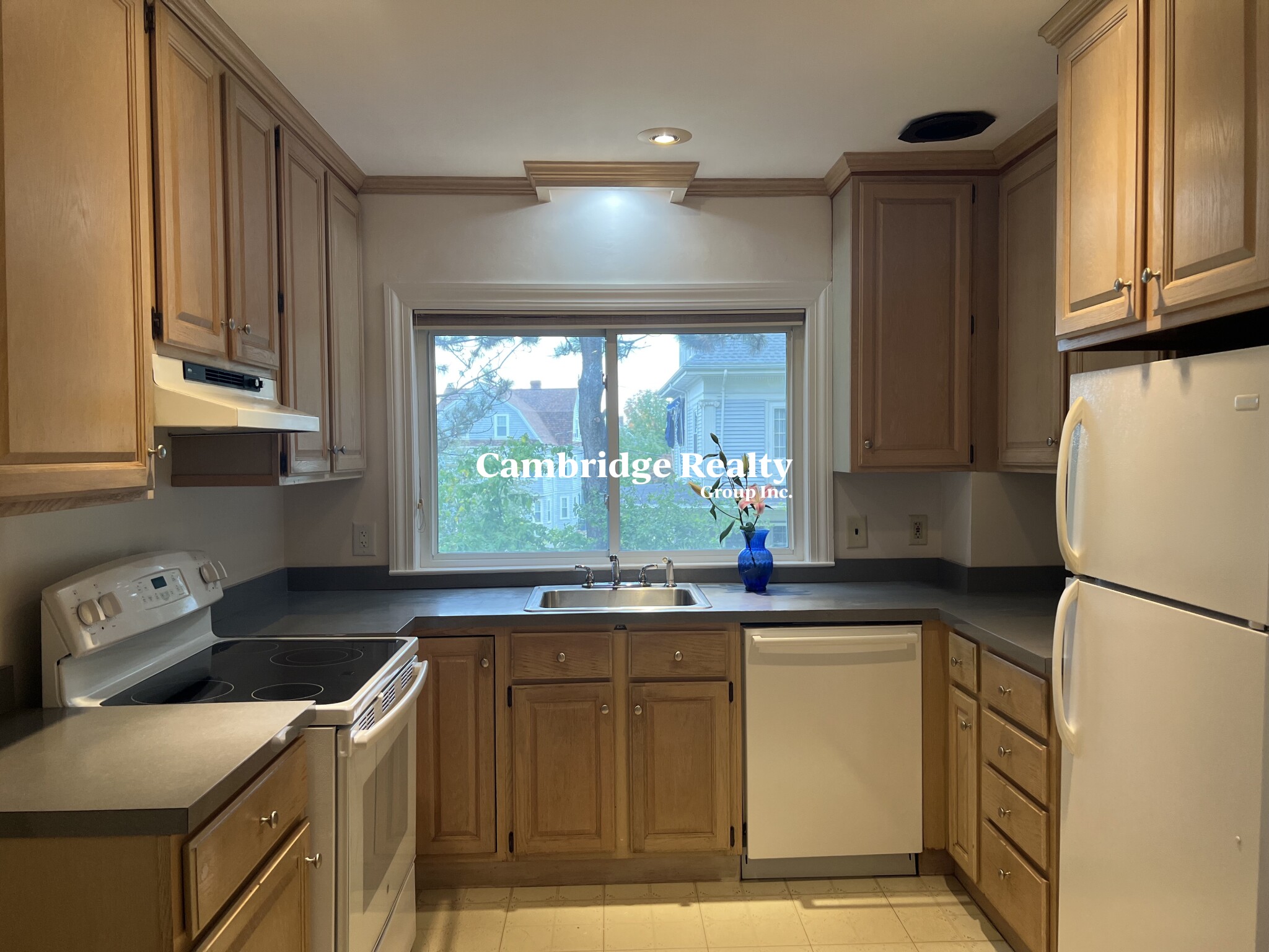 50 Marion Rd, Arlington