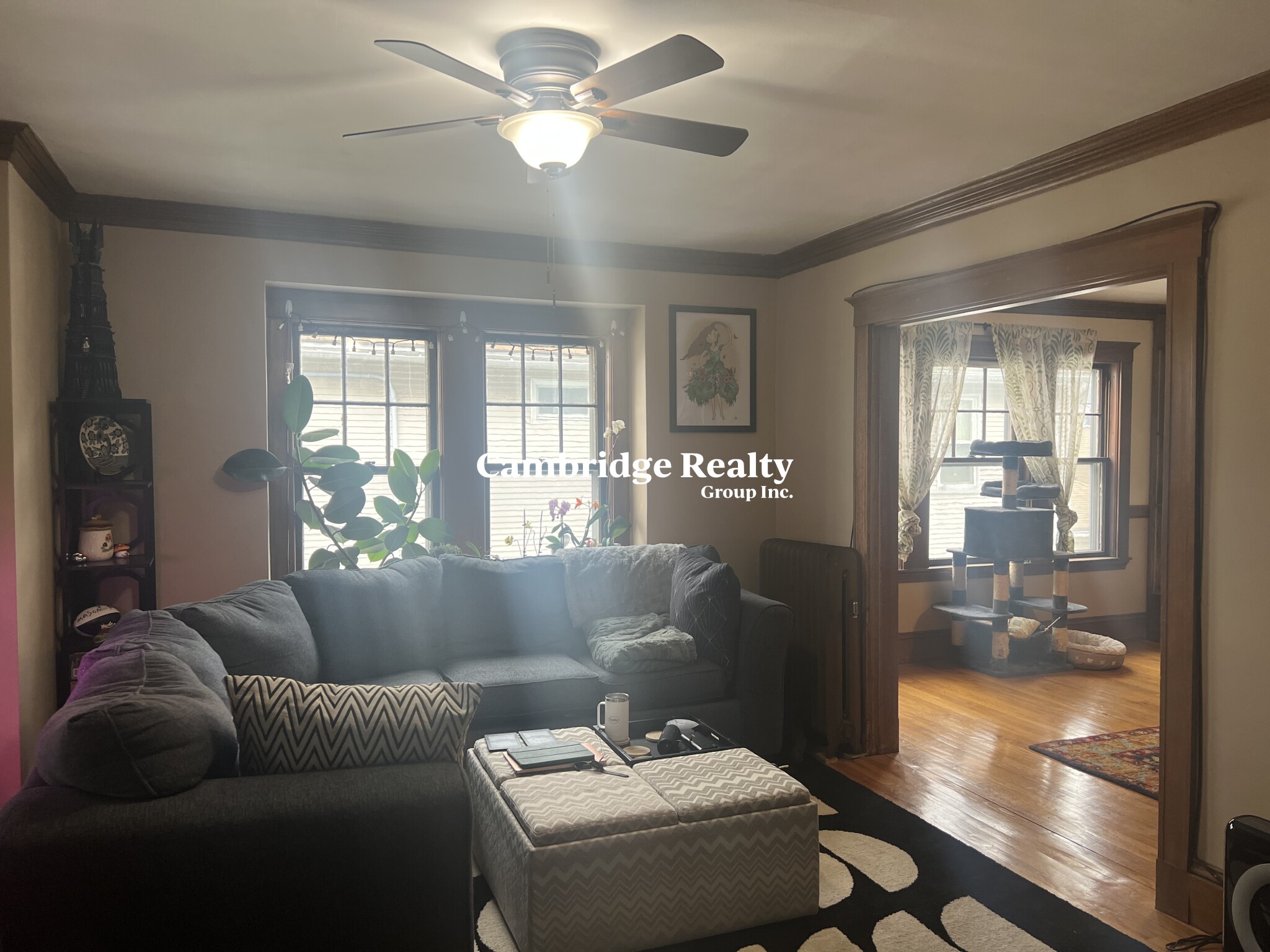 48 Cleveland St, Arlington