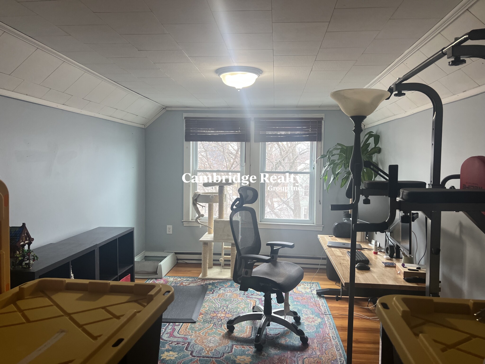 48 Cleveland St, Arlington