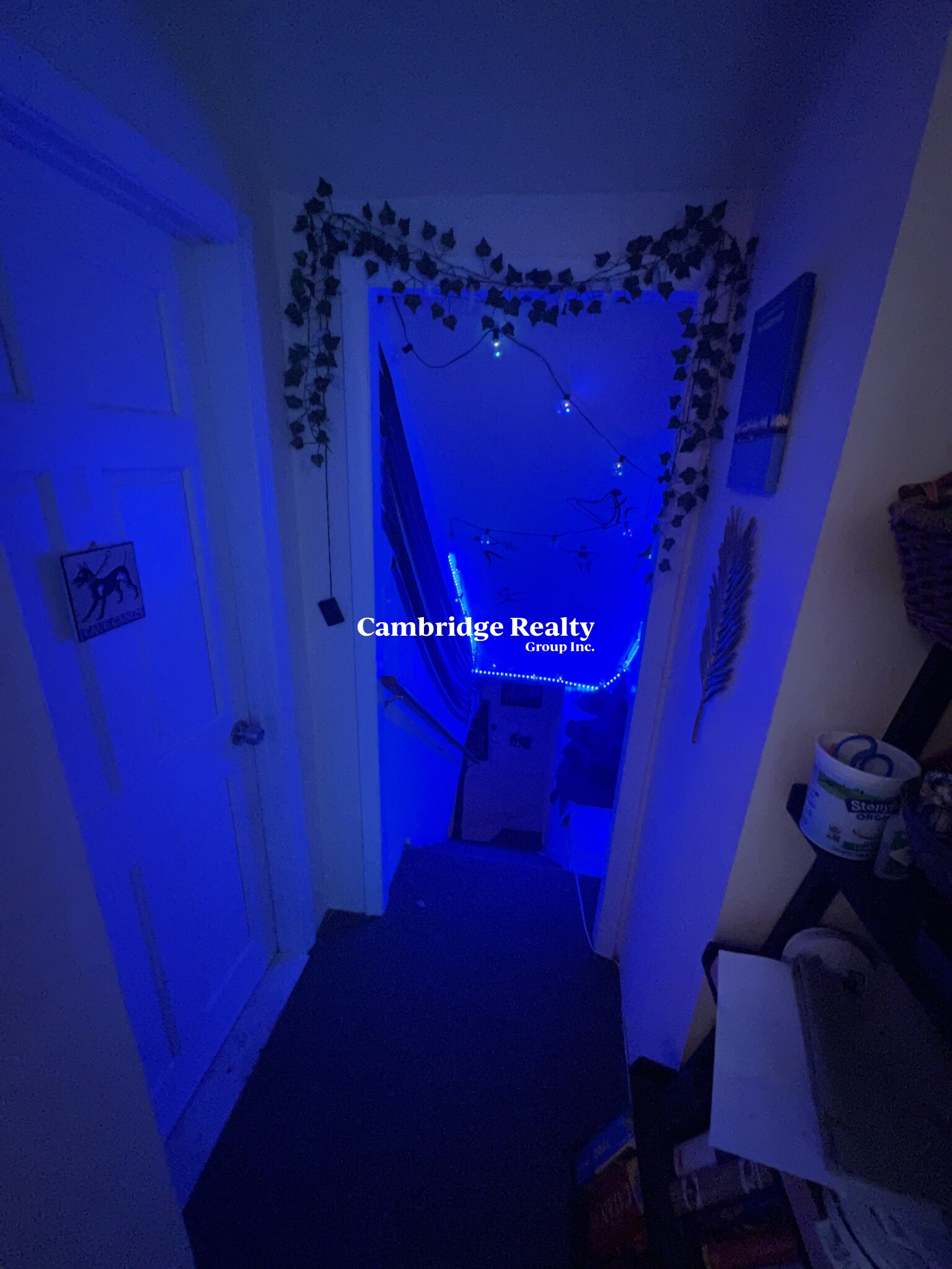 9 Medford St, South Medford