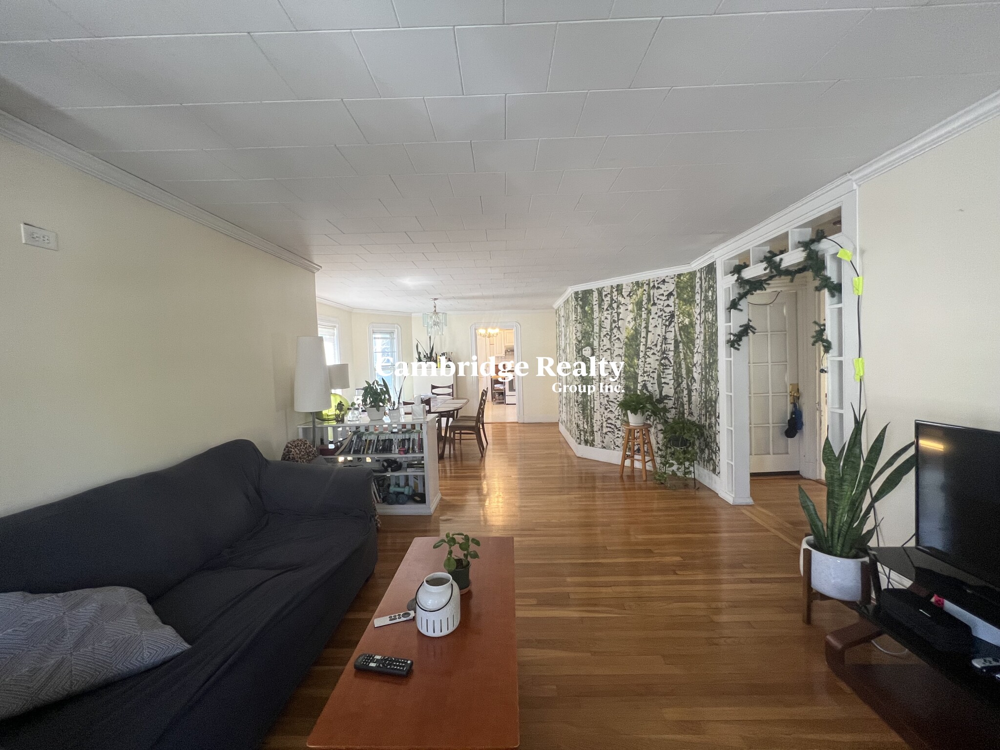 33 Winslow Ave, Davis Square