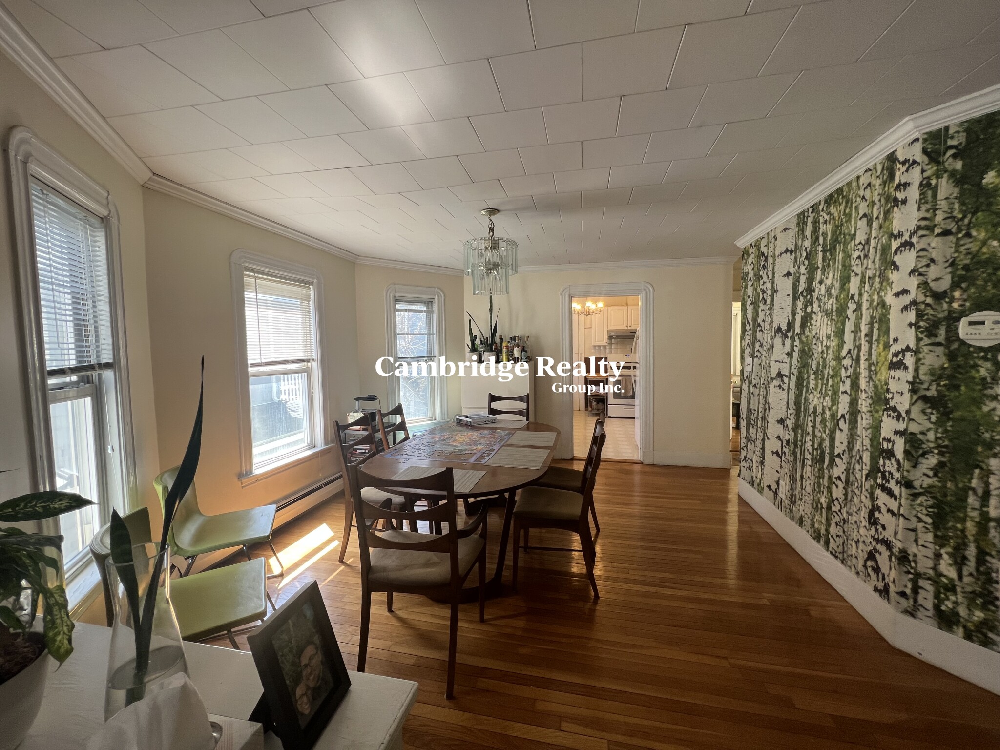 33 Winslow Ave, Davis Square