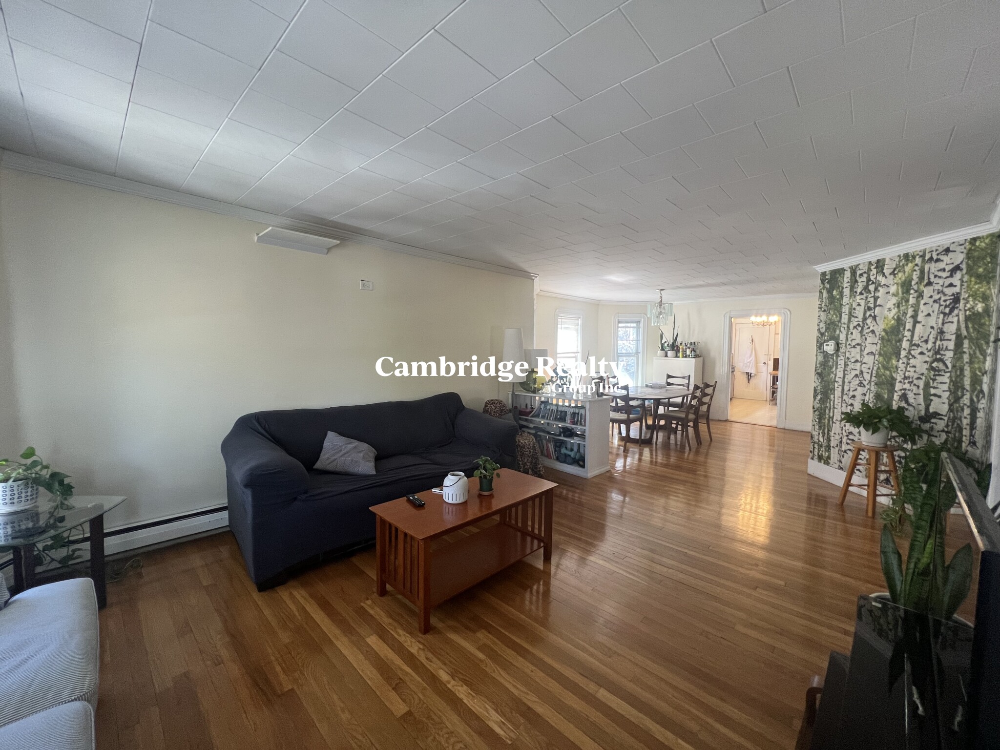 33 Winslow Ave, Davis Square