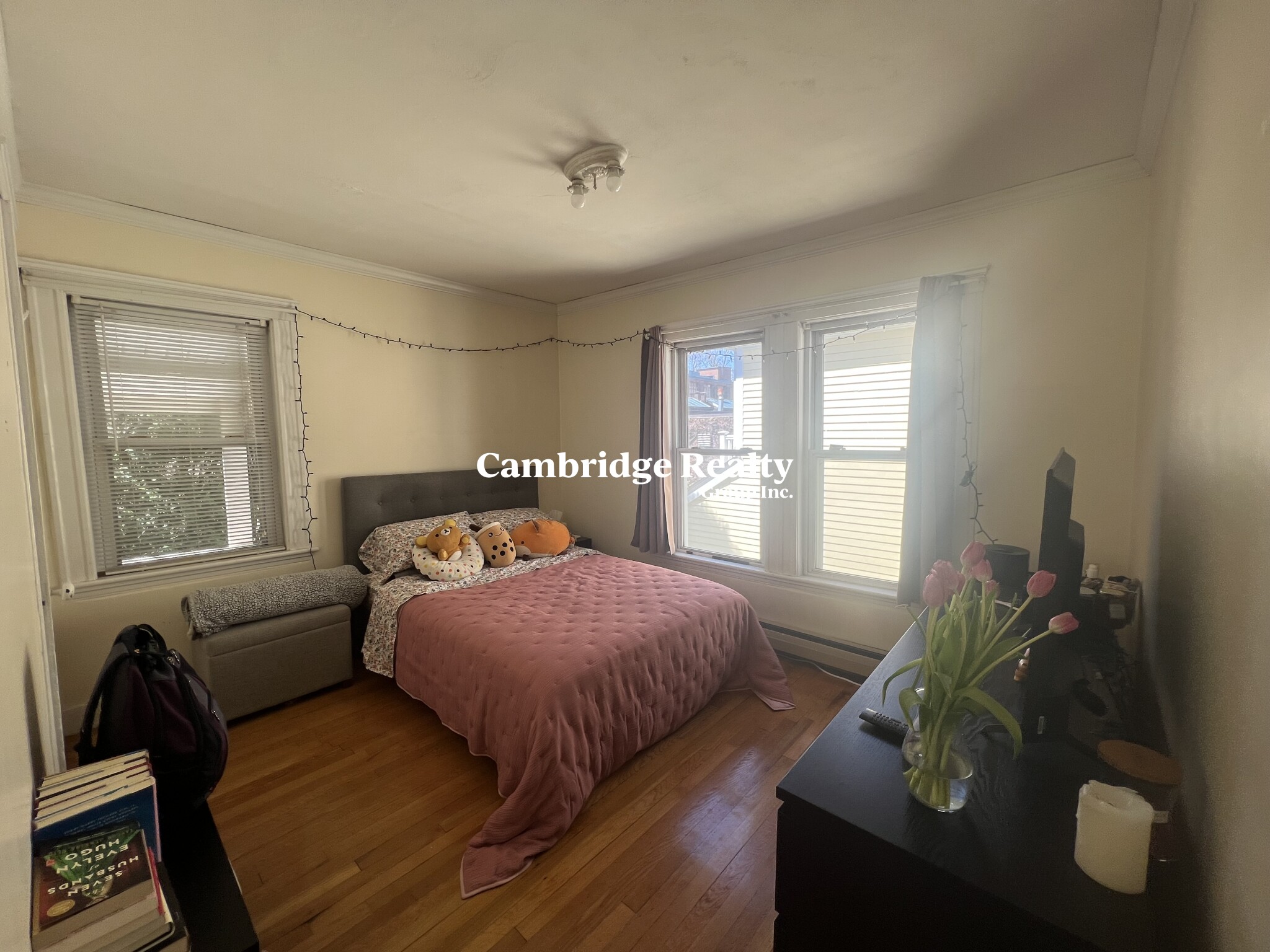 33 Winslow Ave, Davis Square