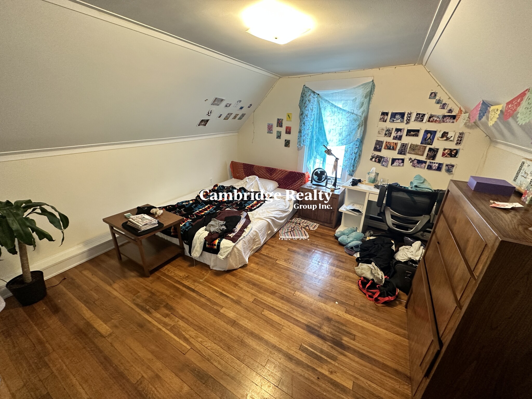 9 Cedar St, North Cambridge