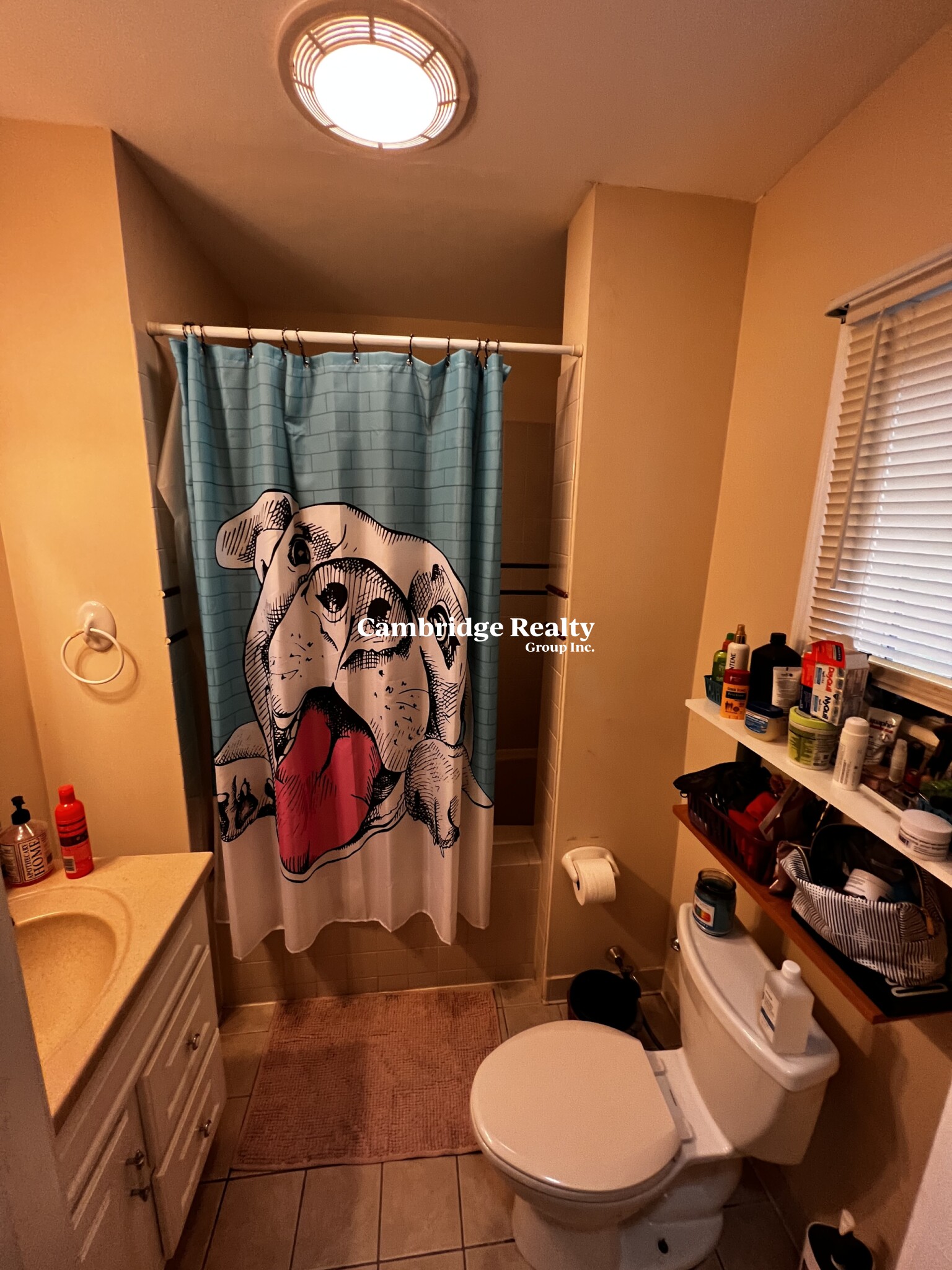 44 Edgar Ave, Magoun Square