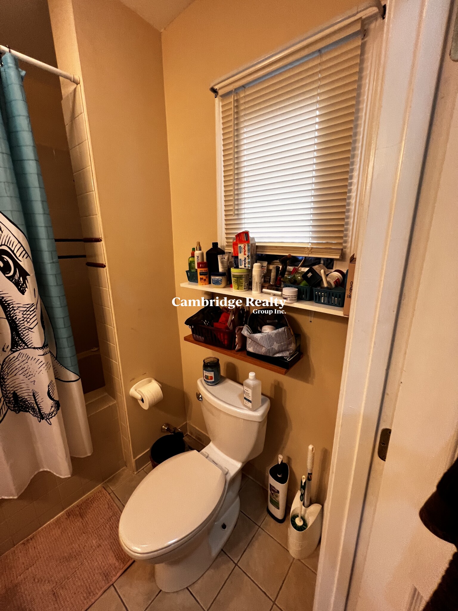 44 Edgar Ave, Magoun Square