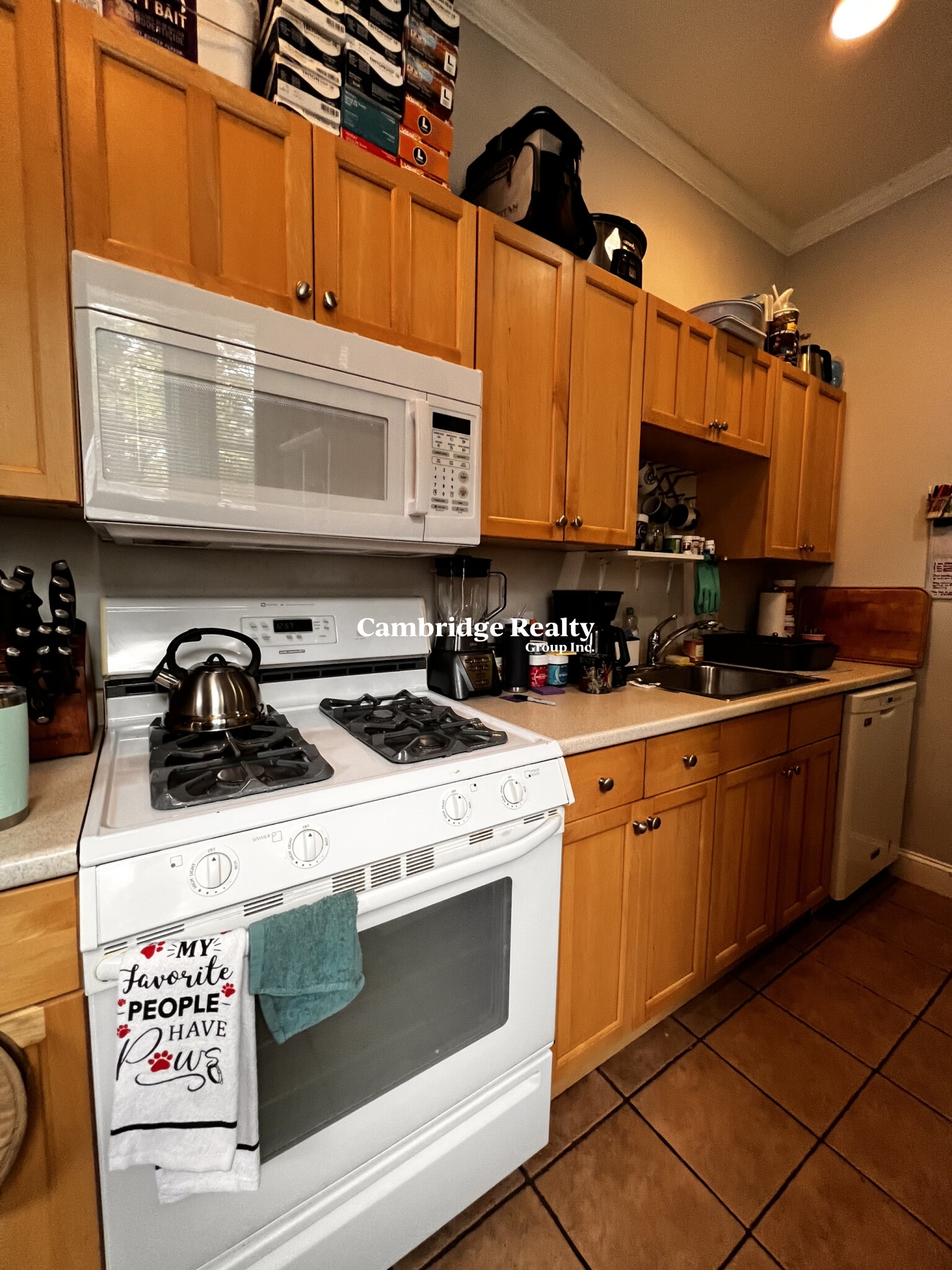 44 Edgar Ave, Magoun Square