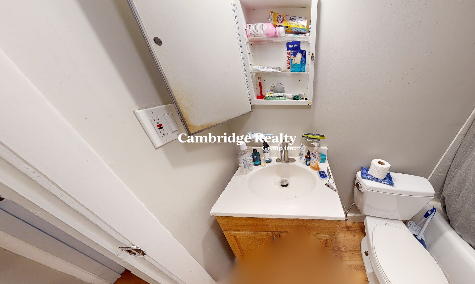 8 Forest St, Porter Square