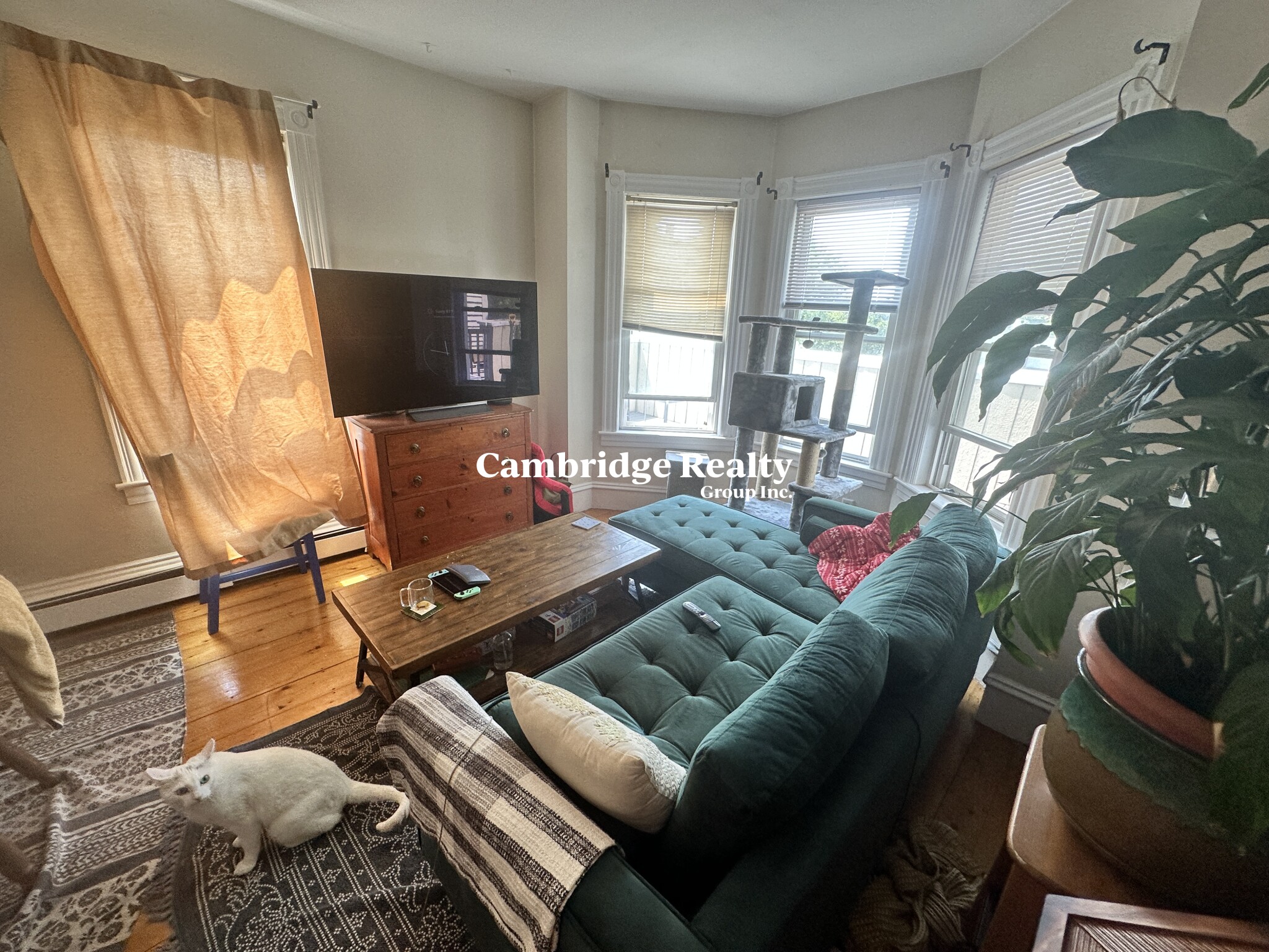 515 Medford St, Magoun Square