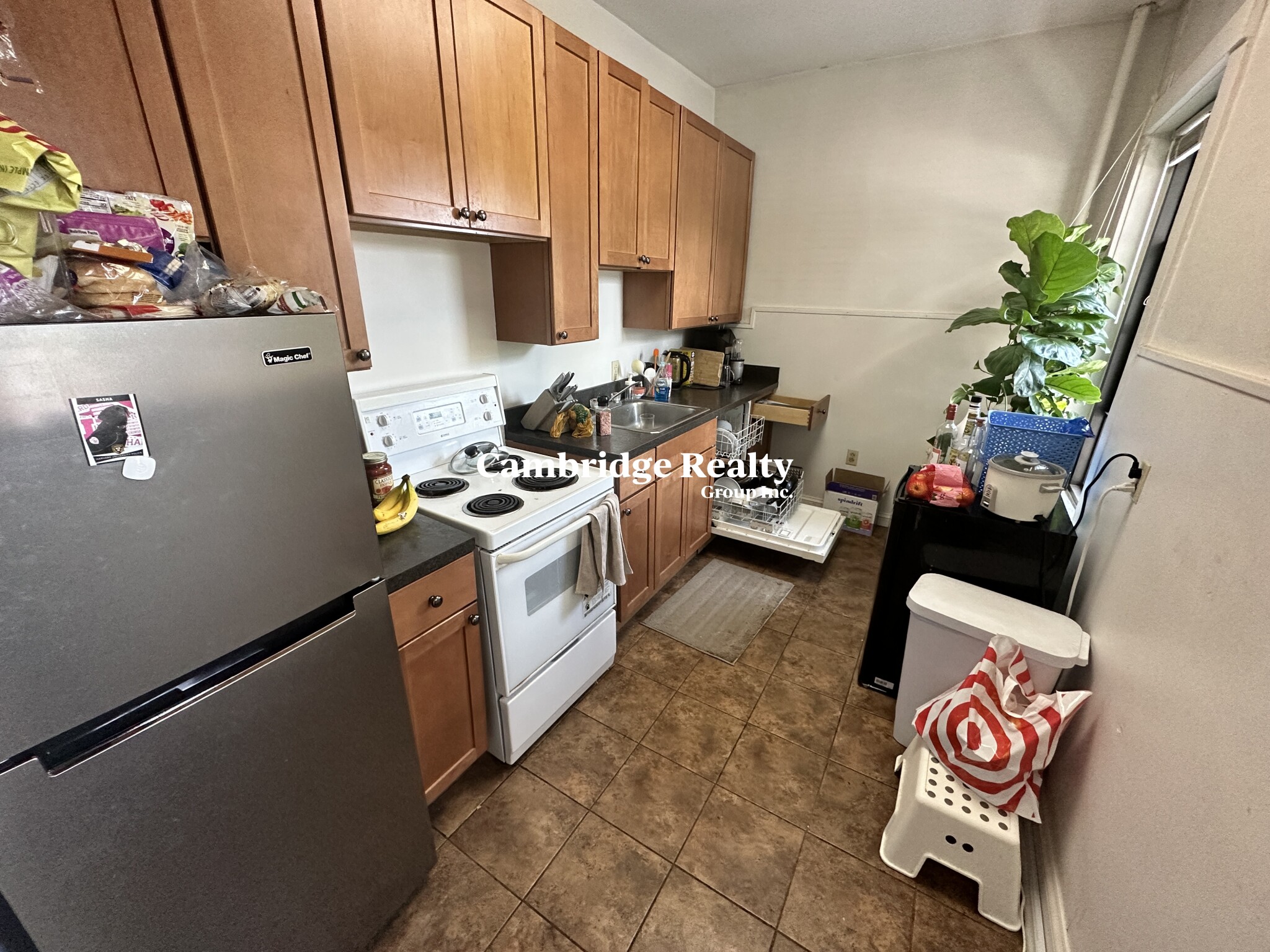 1039 Massachusetts Ave, Harvard Square