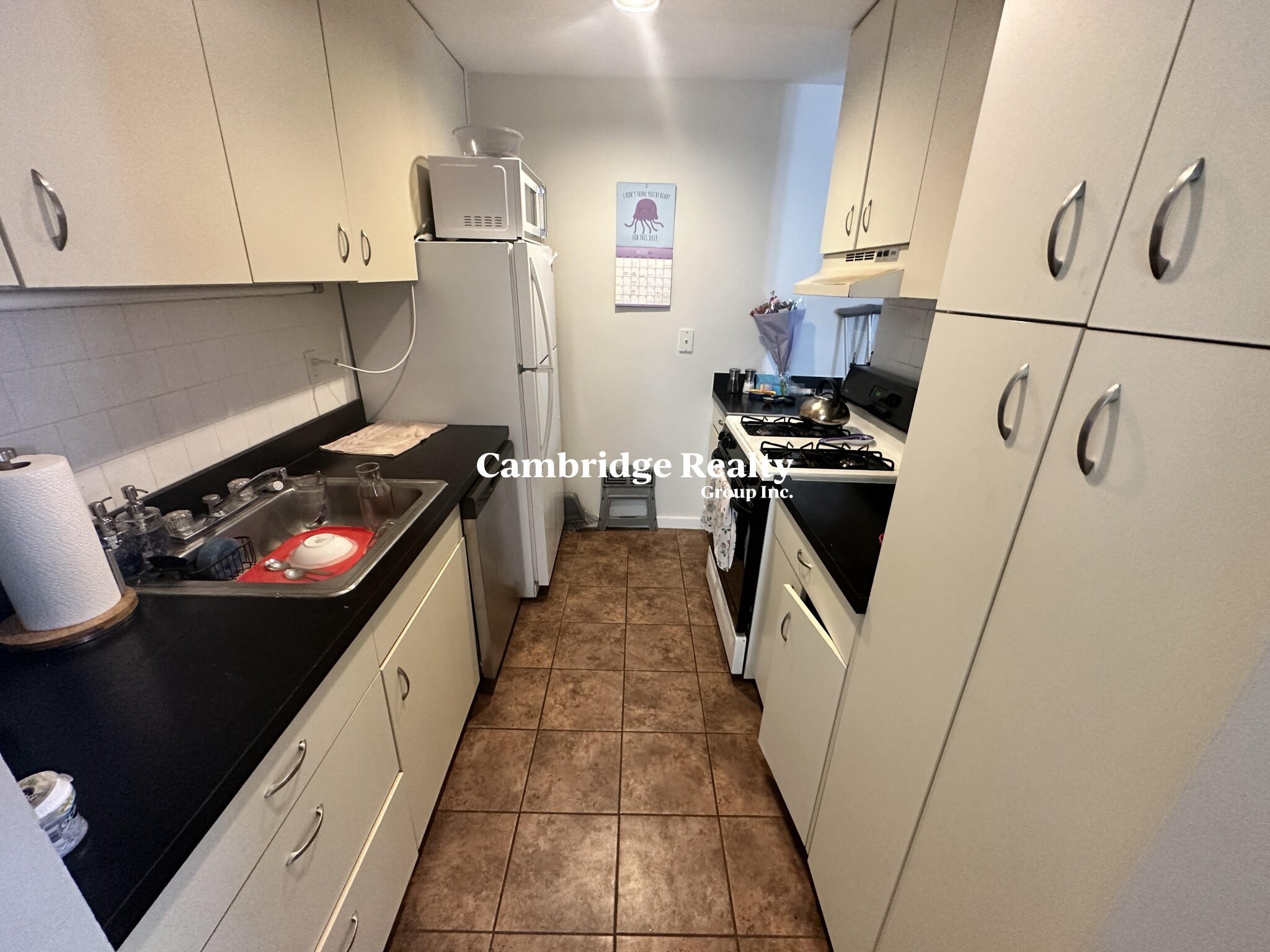 9 Fort Washington Pl, Cambridgeport