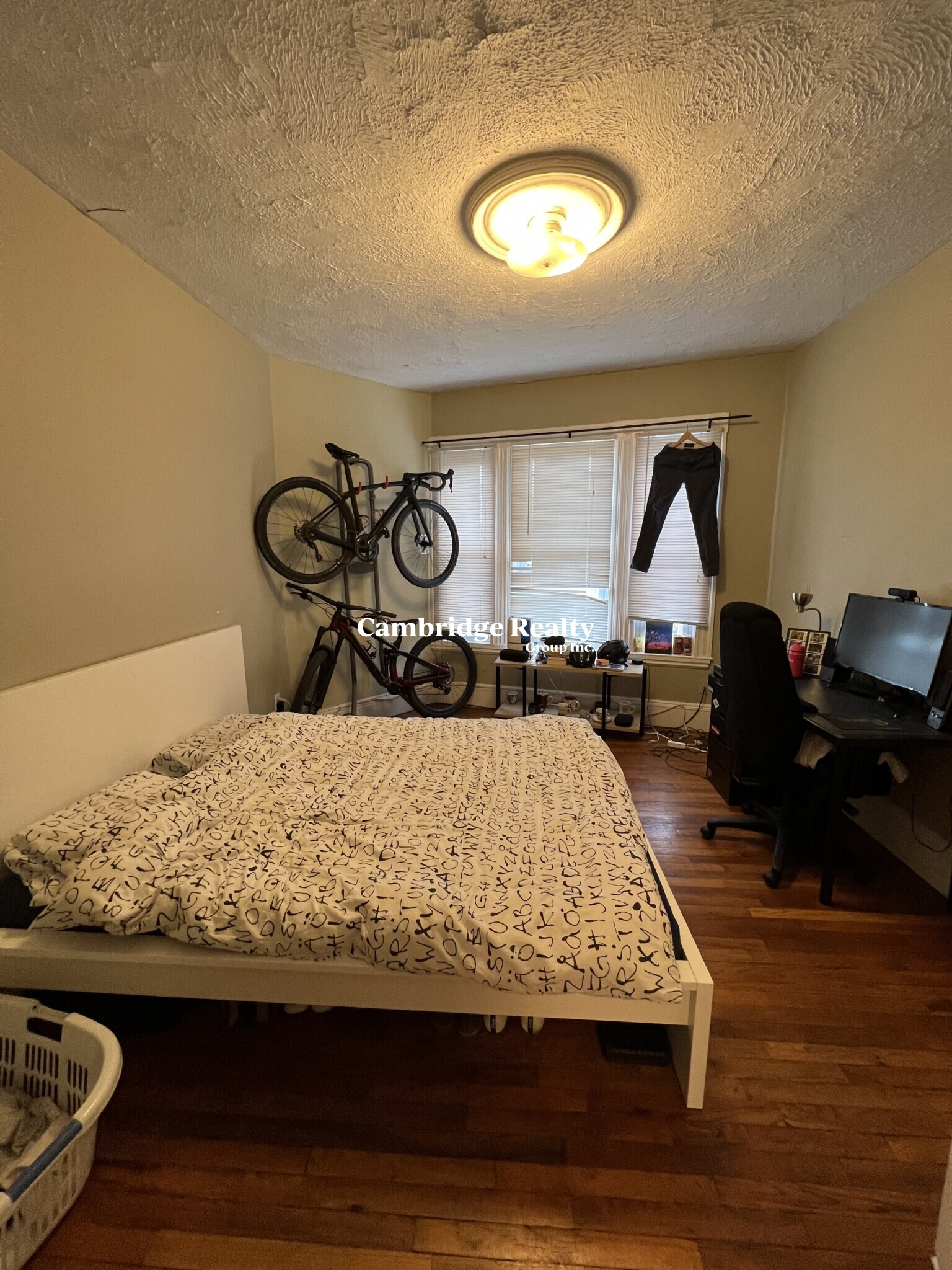 59 Cedar St, Spring Hill