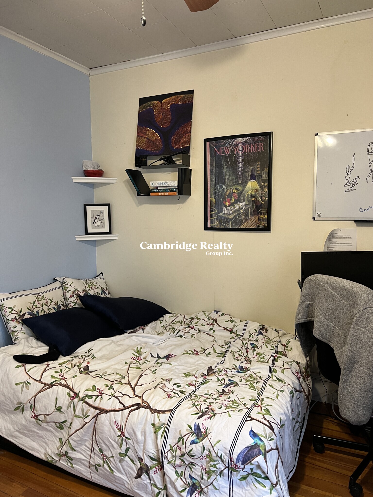 12 Hancock St, Spring Hill