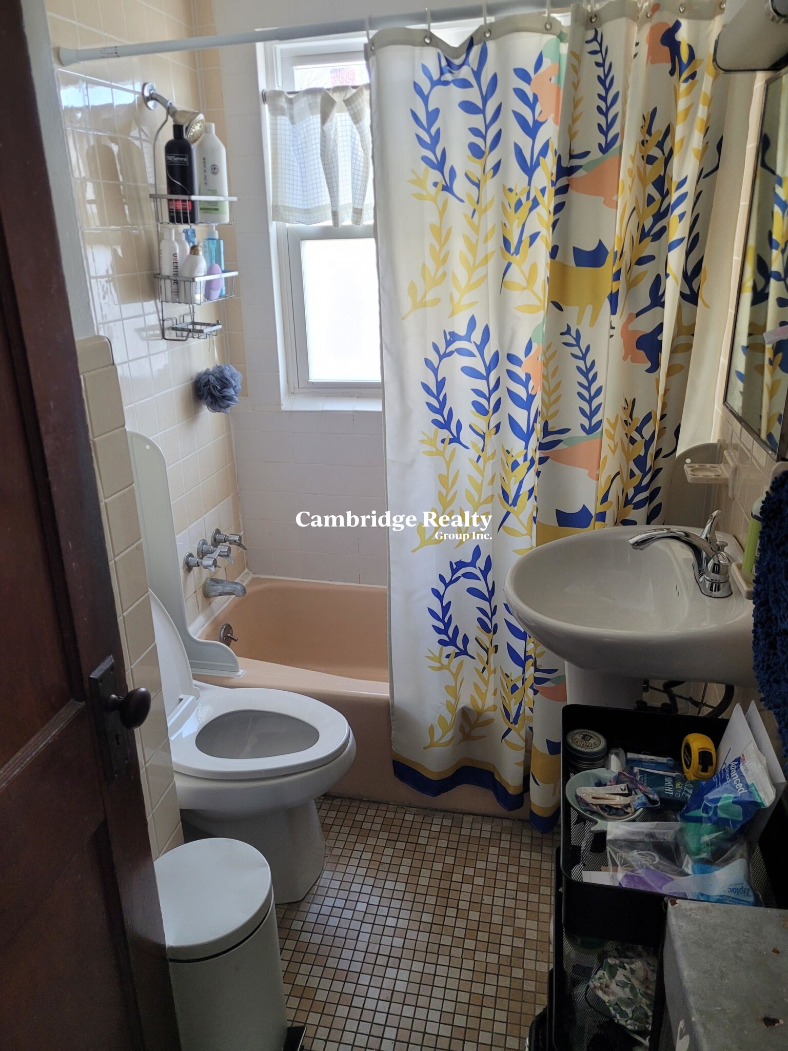 16 Silvey Pl, Spring Hill