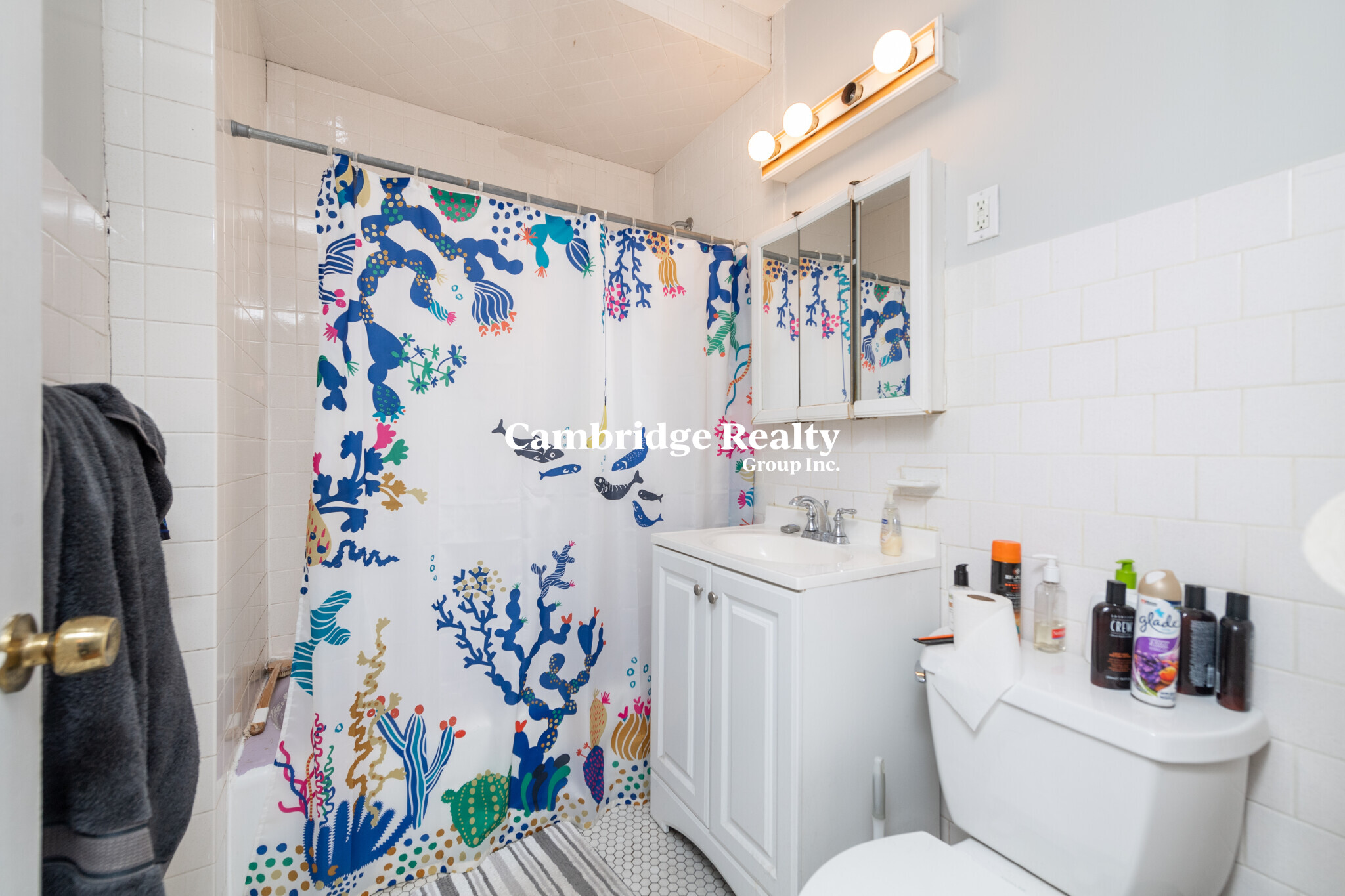 6 Belmont St, Spring Hill