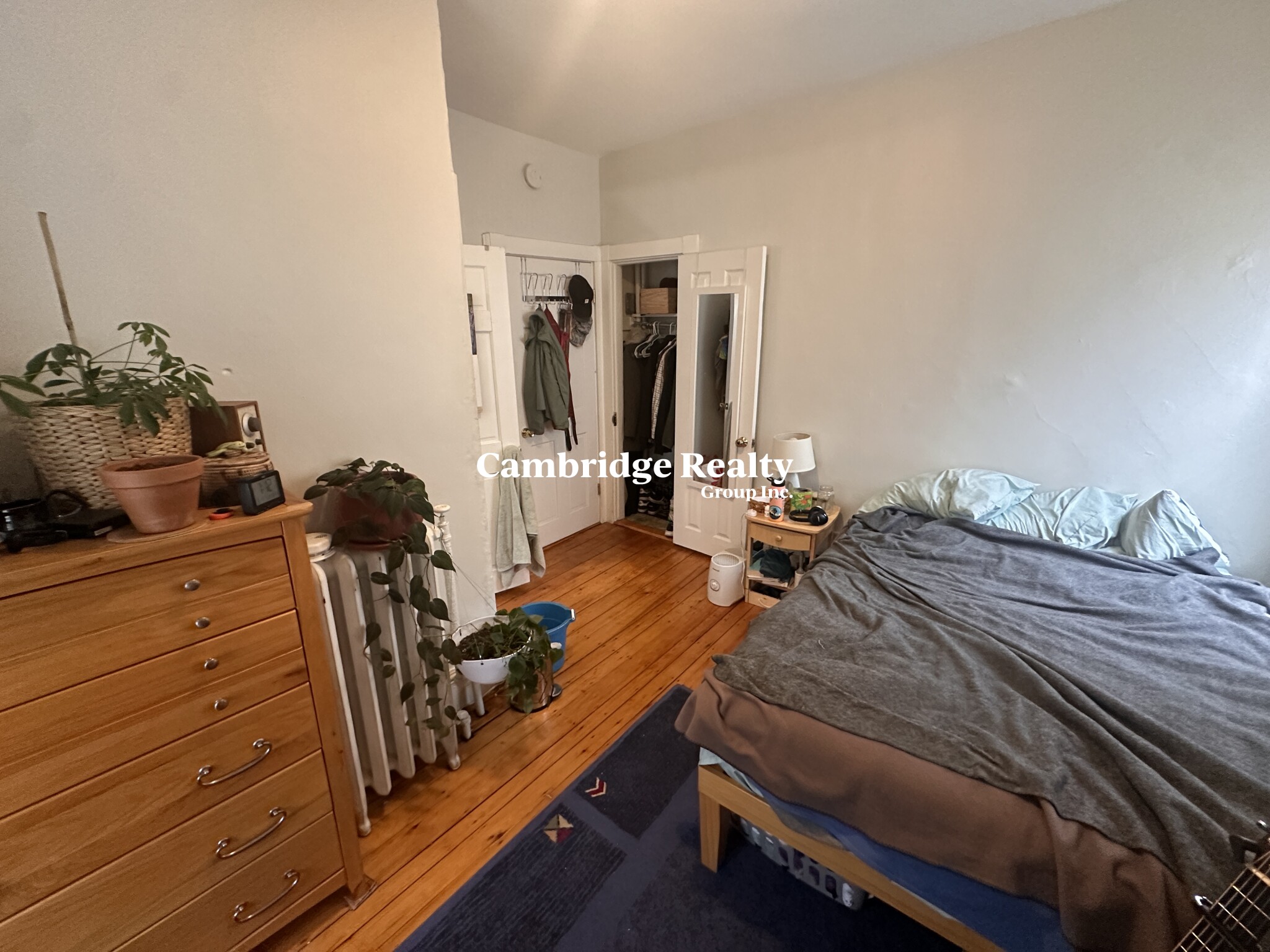 13 Spring St, Spring Hill