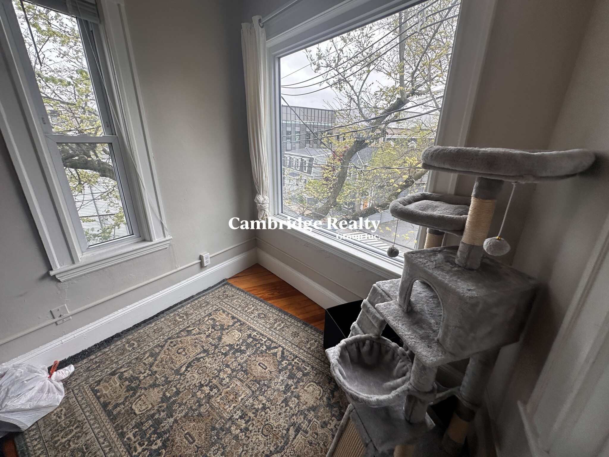 13 Spring St, Spring Hill