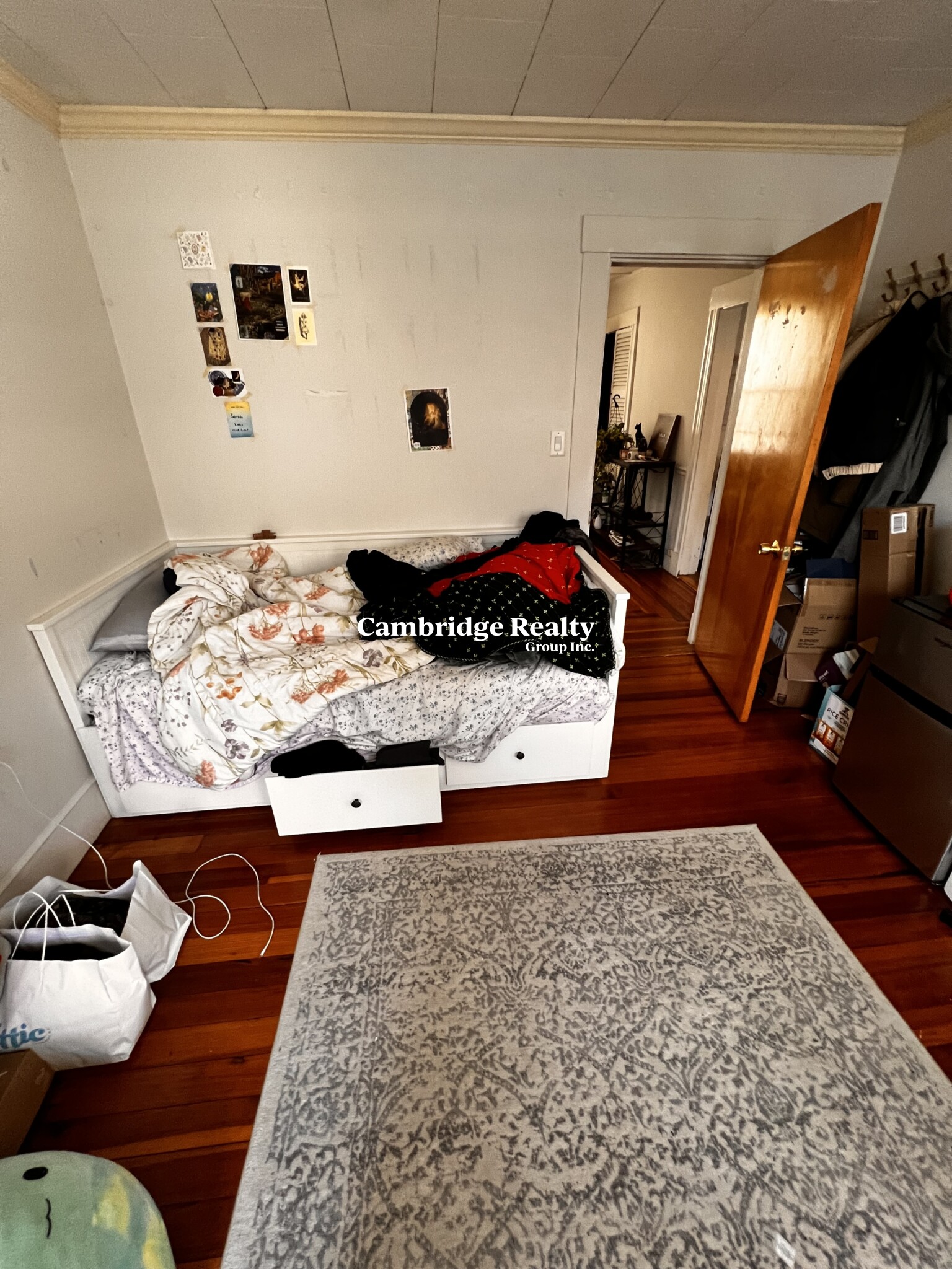 17 Cleveland St, Spring Hill