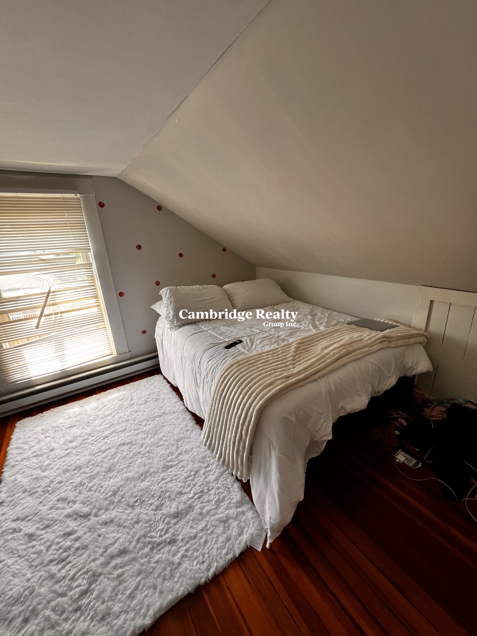 17 Cleveland St, Spring Hill