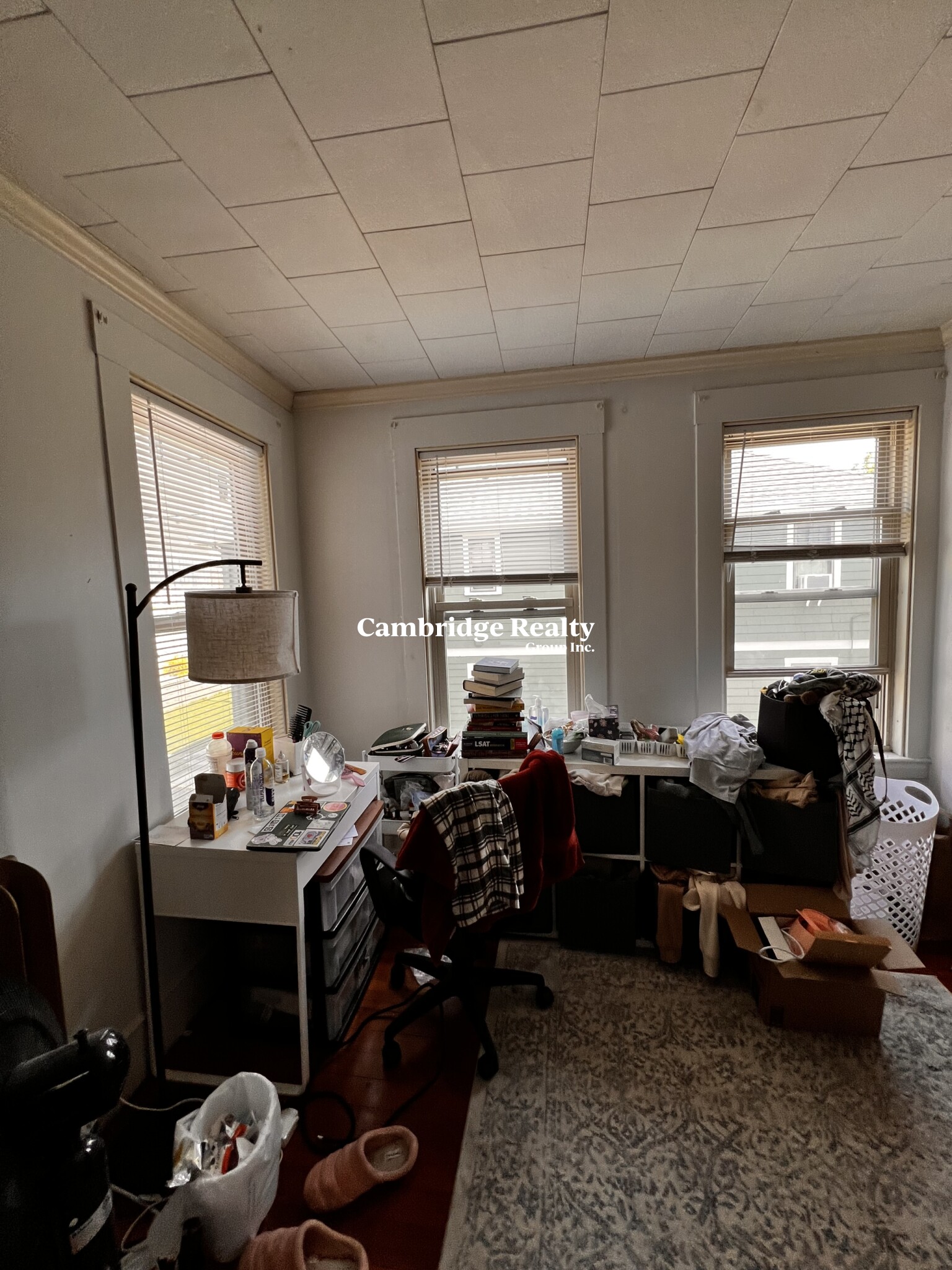 17 Cleveland St, Spring Hill