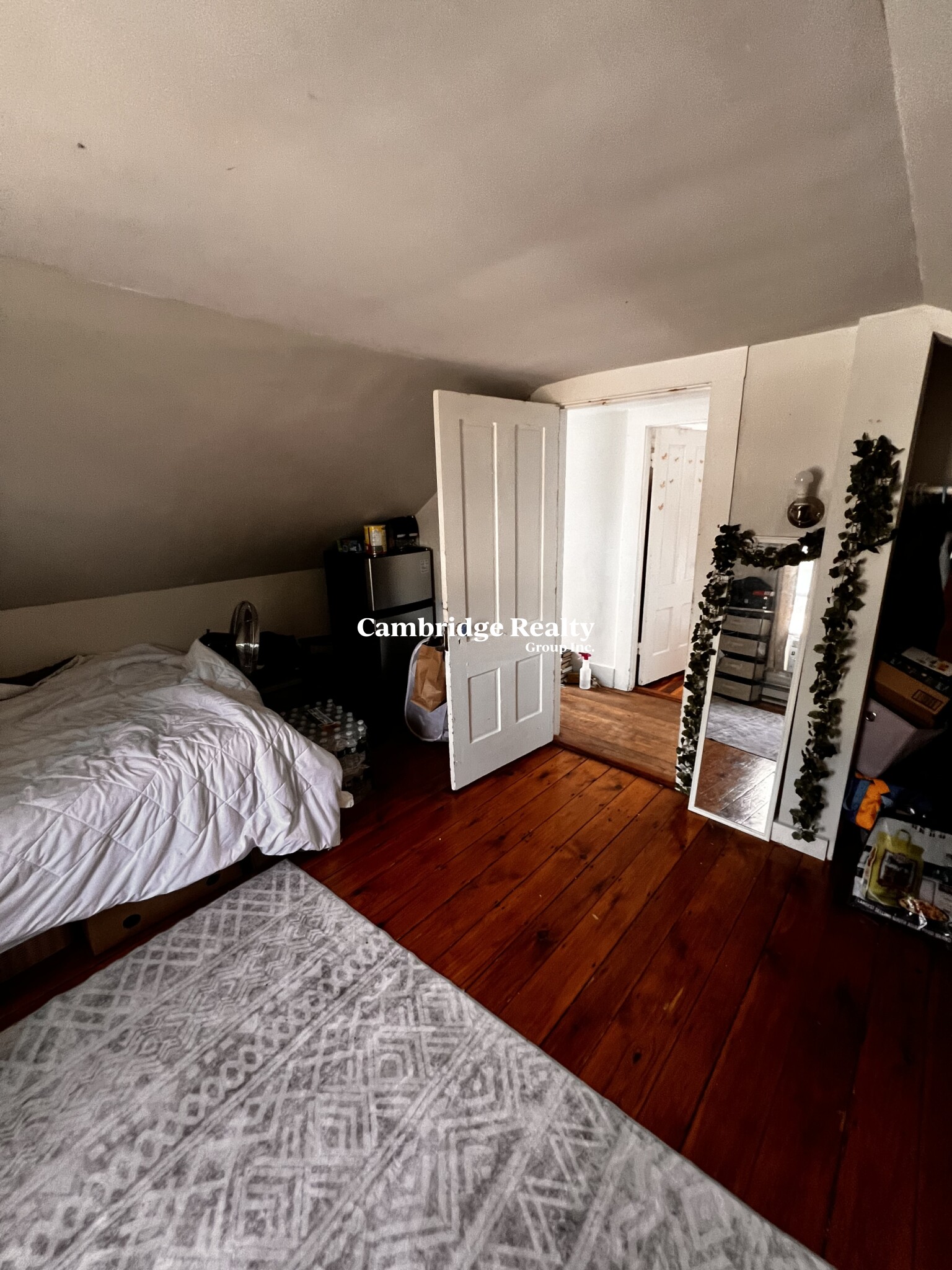 17 Cleveland St, Spring Hill