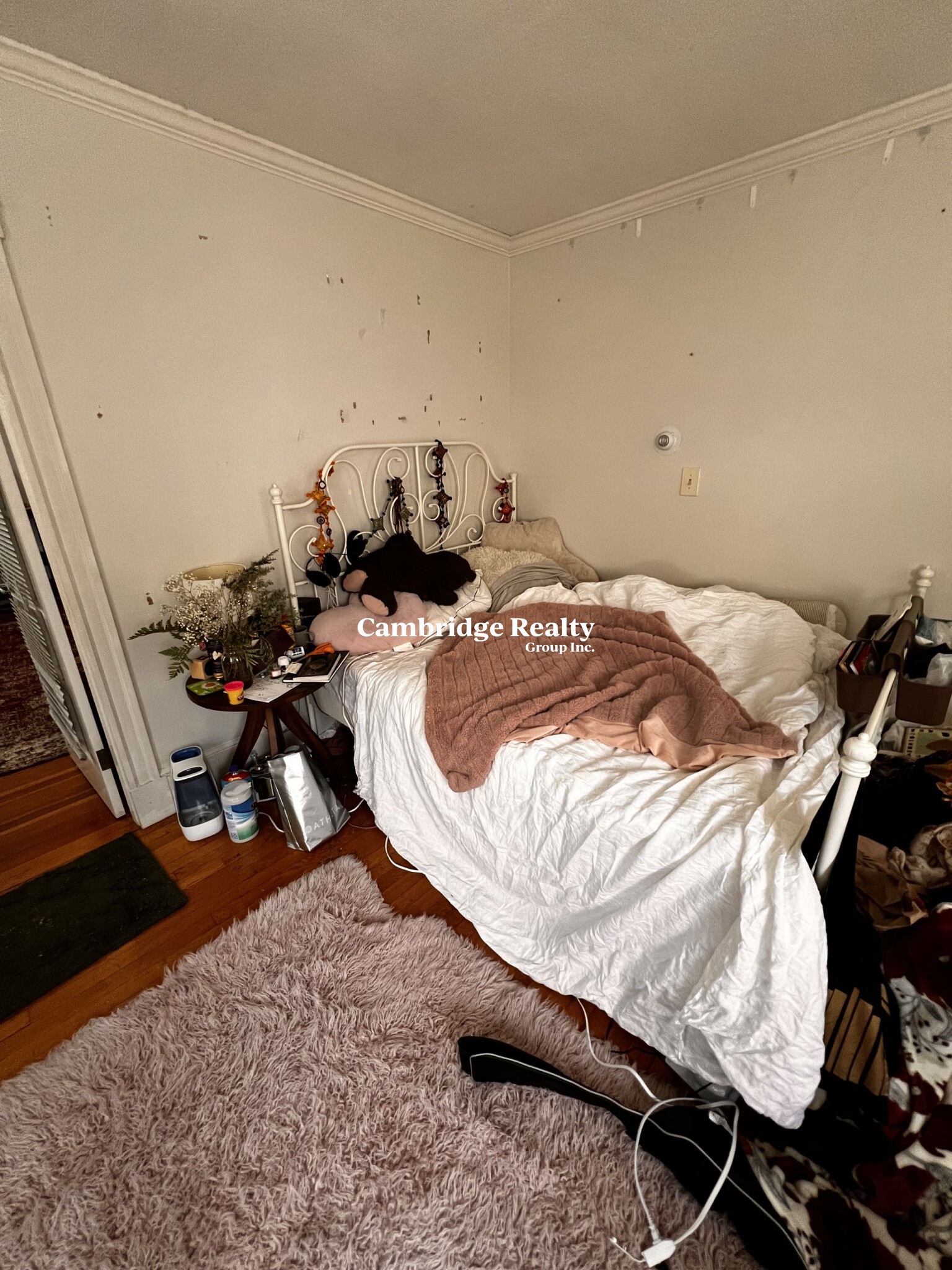 17 Cleveland St, Spring Hill