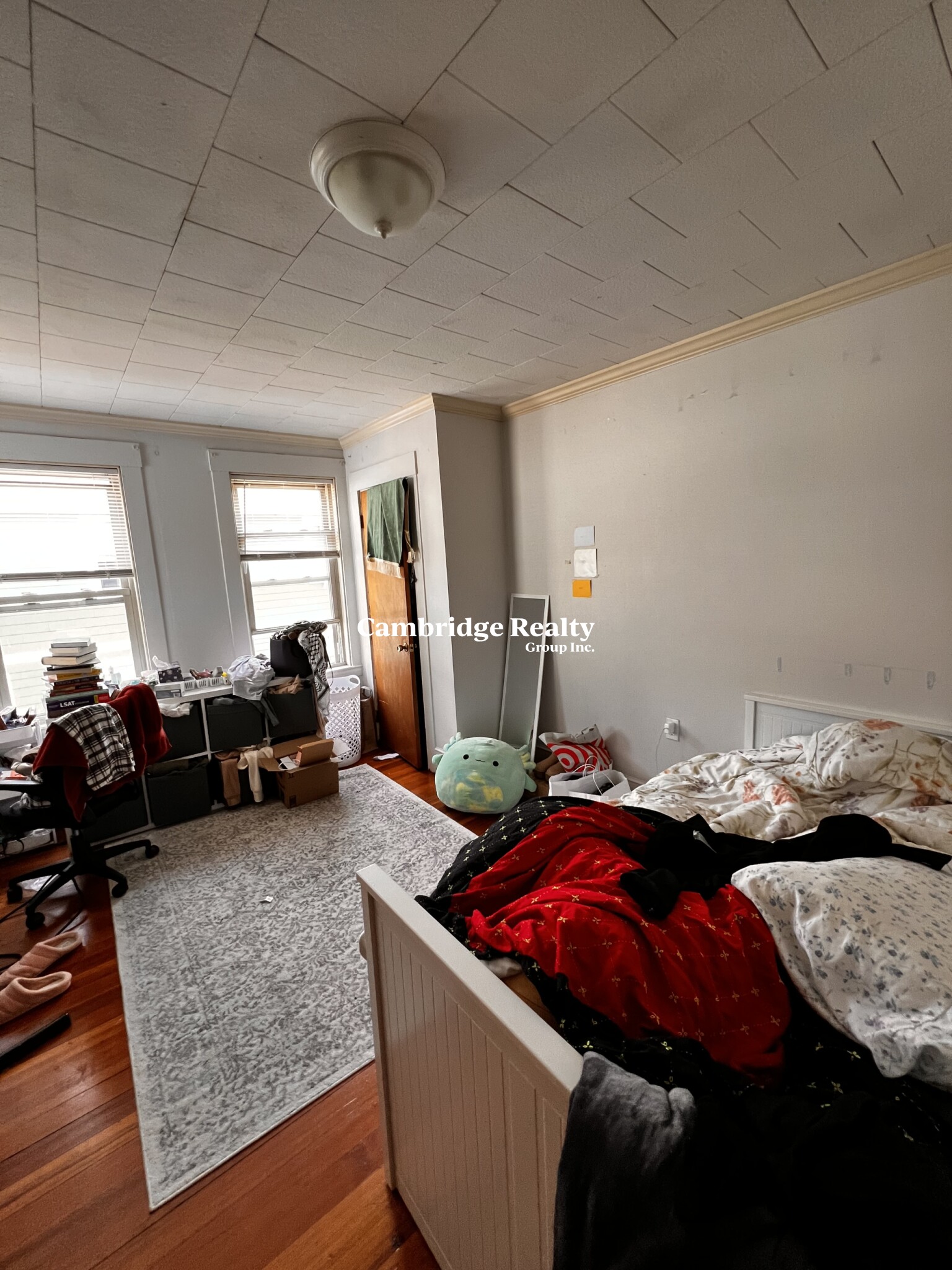 17 Cleveland St, Spring Hill