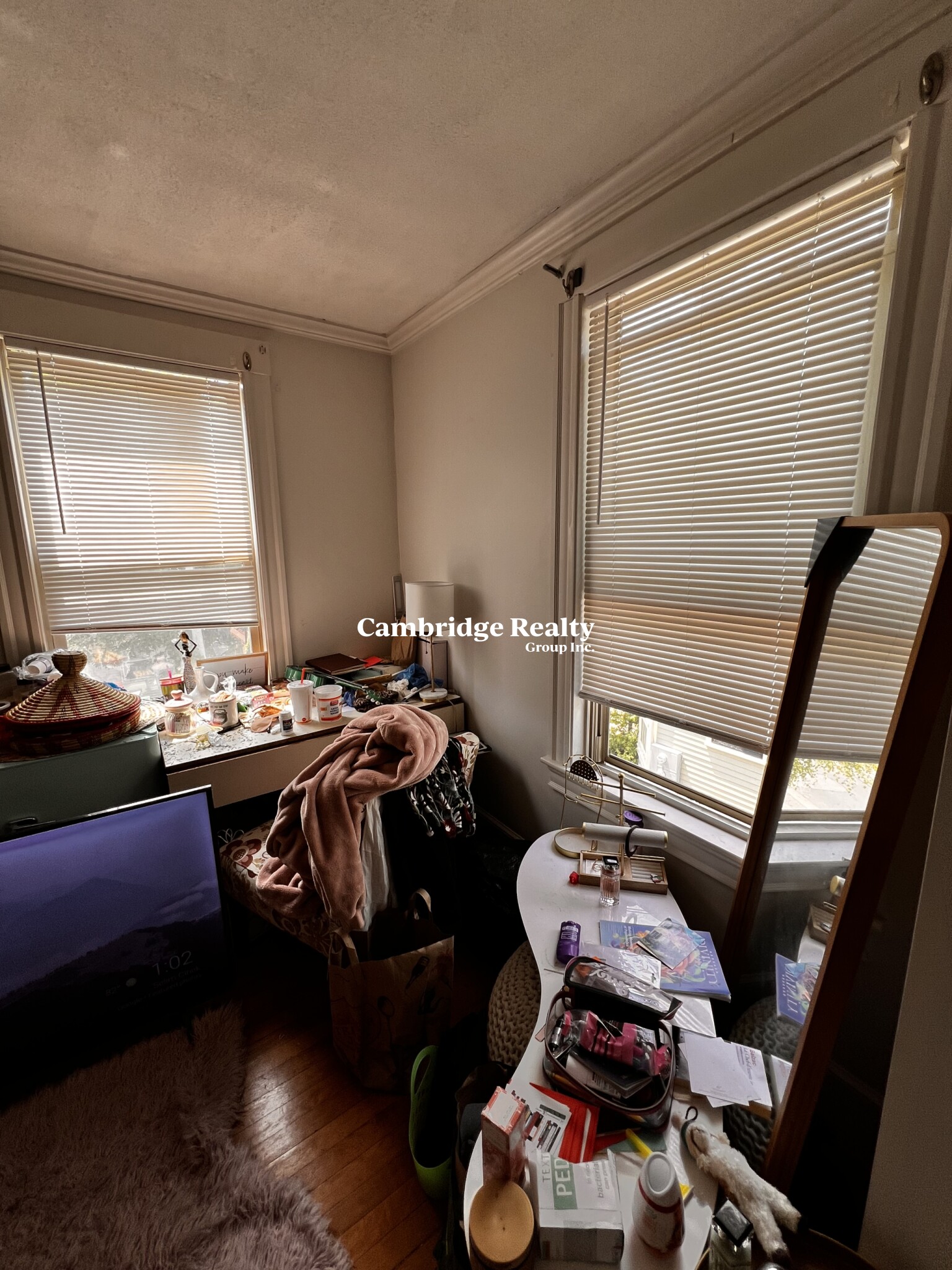 17 Cleveland St, Spring Hill