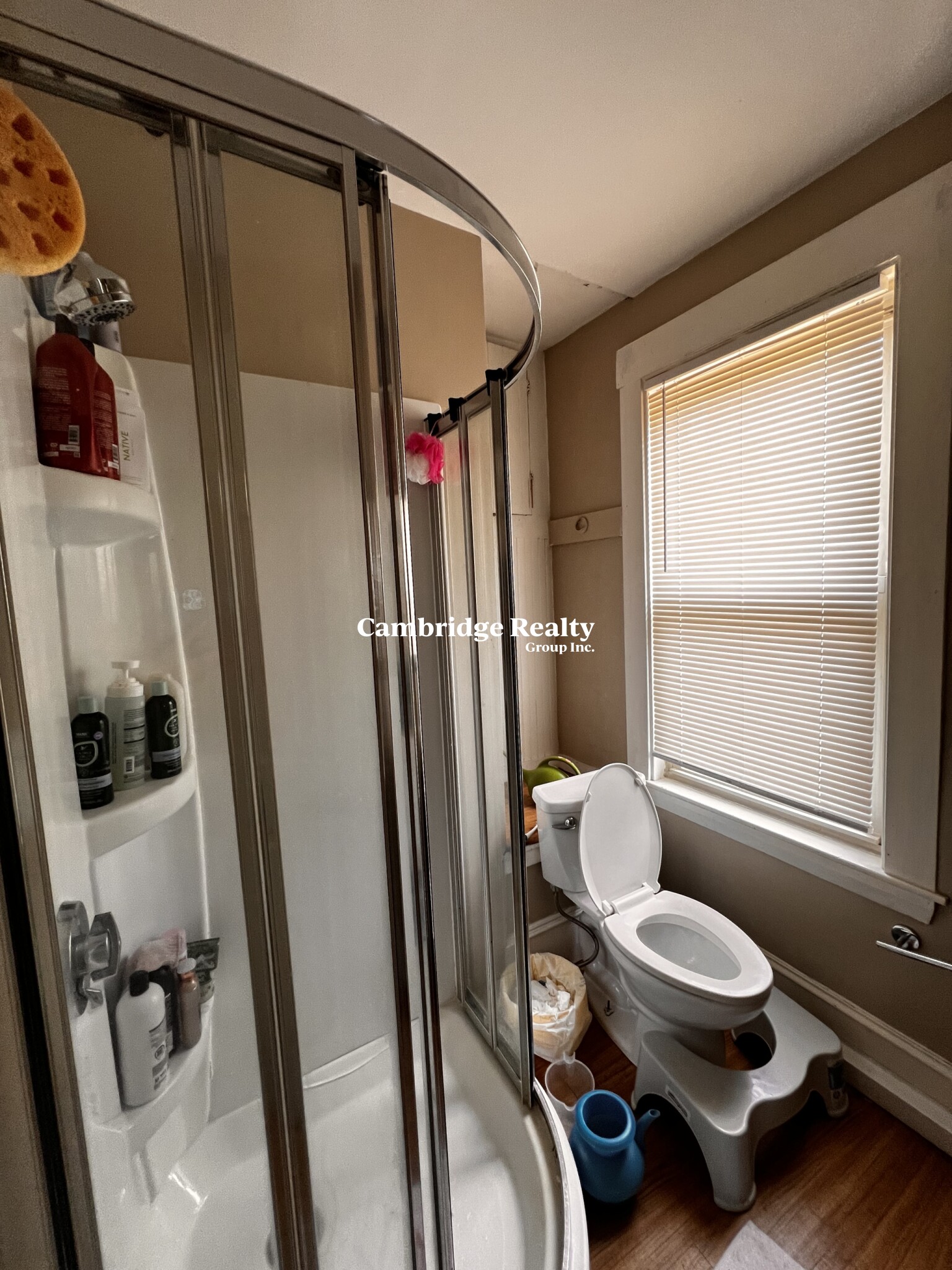 17 Cleveland St, Spring Hill