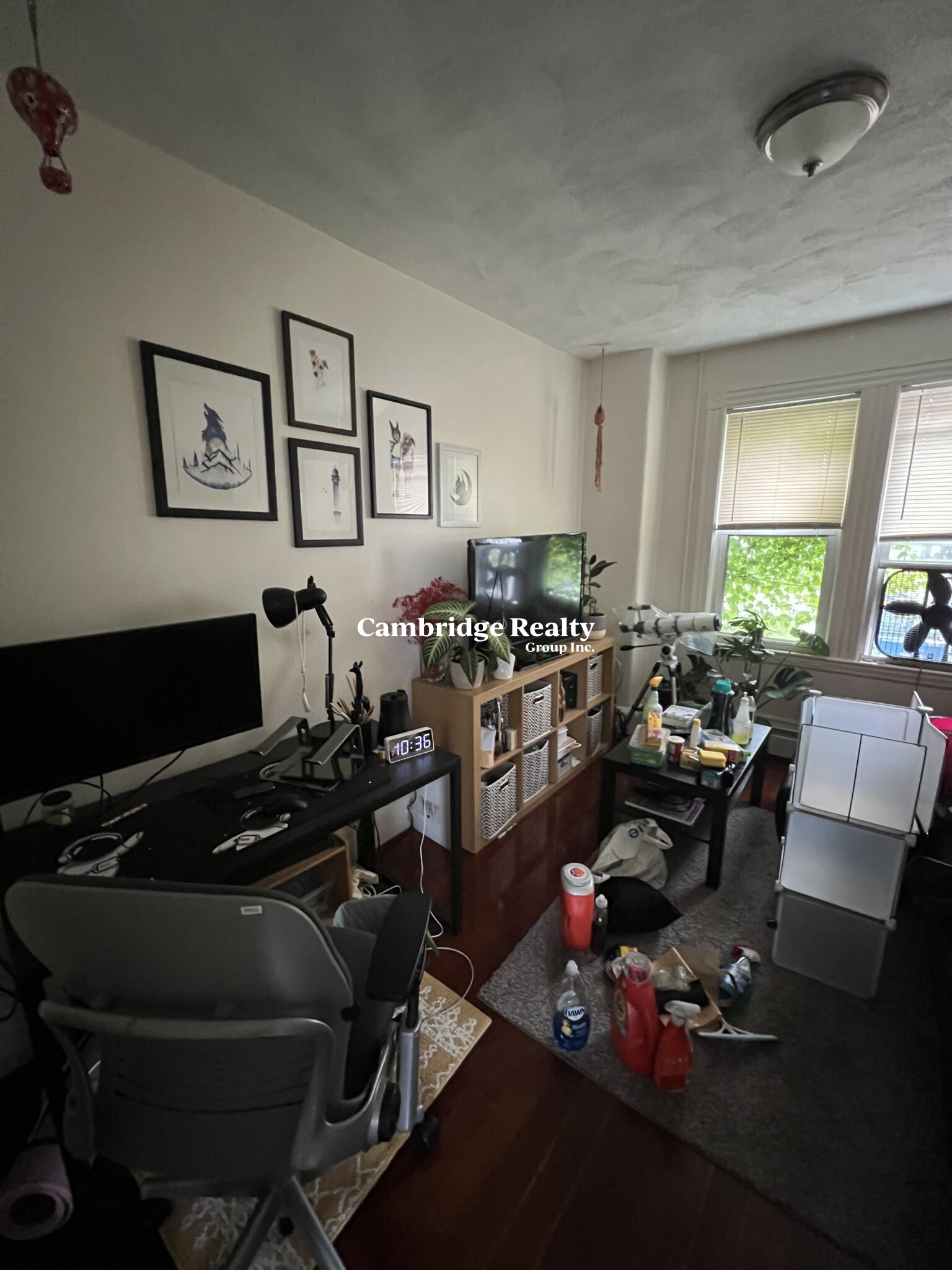 6 Bedford St, Ward Two