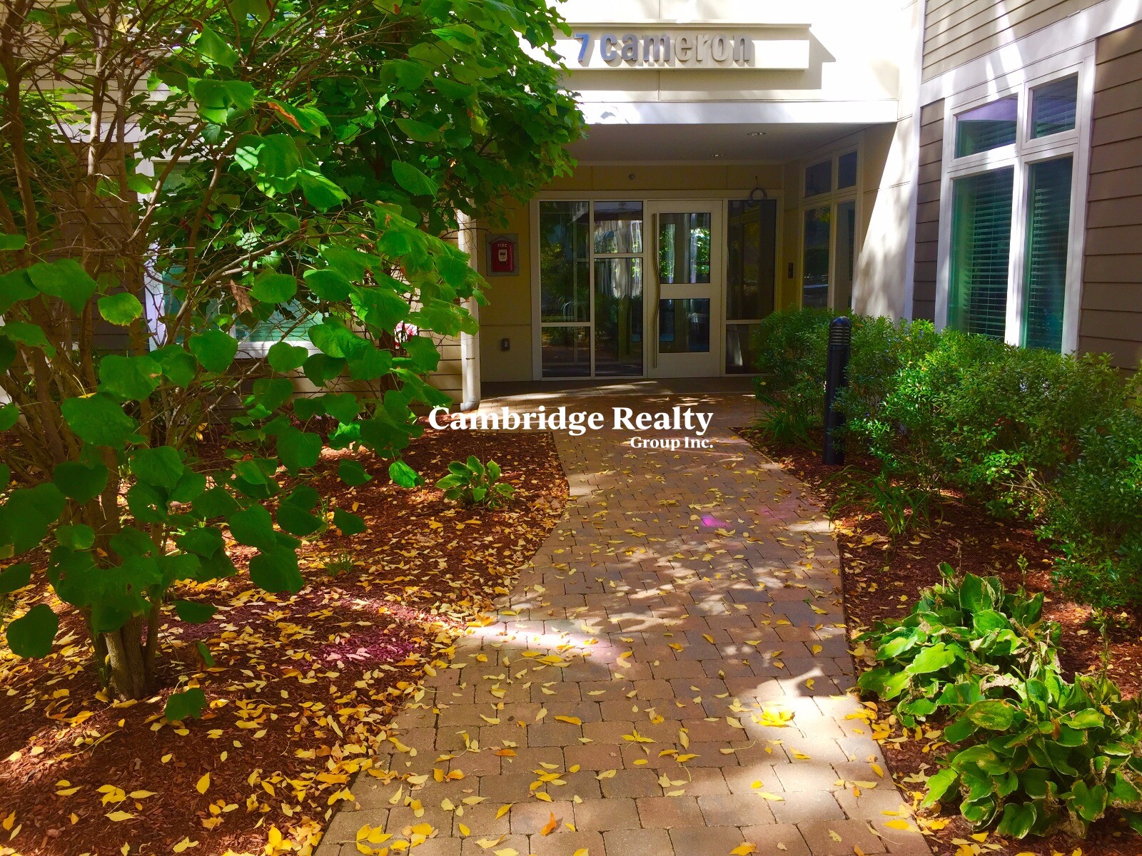 7 Cameron Ave, North Cambridge