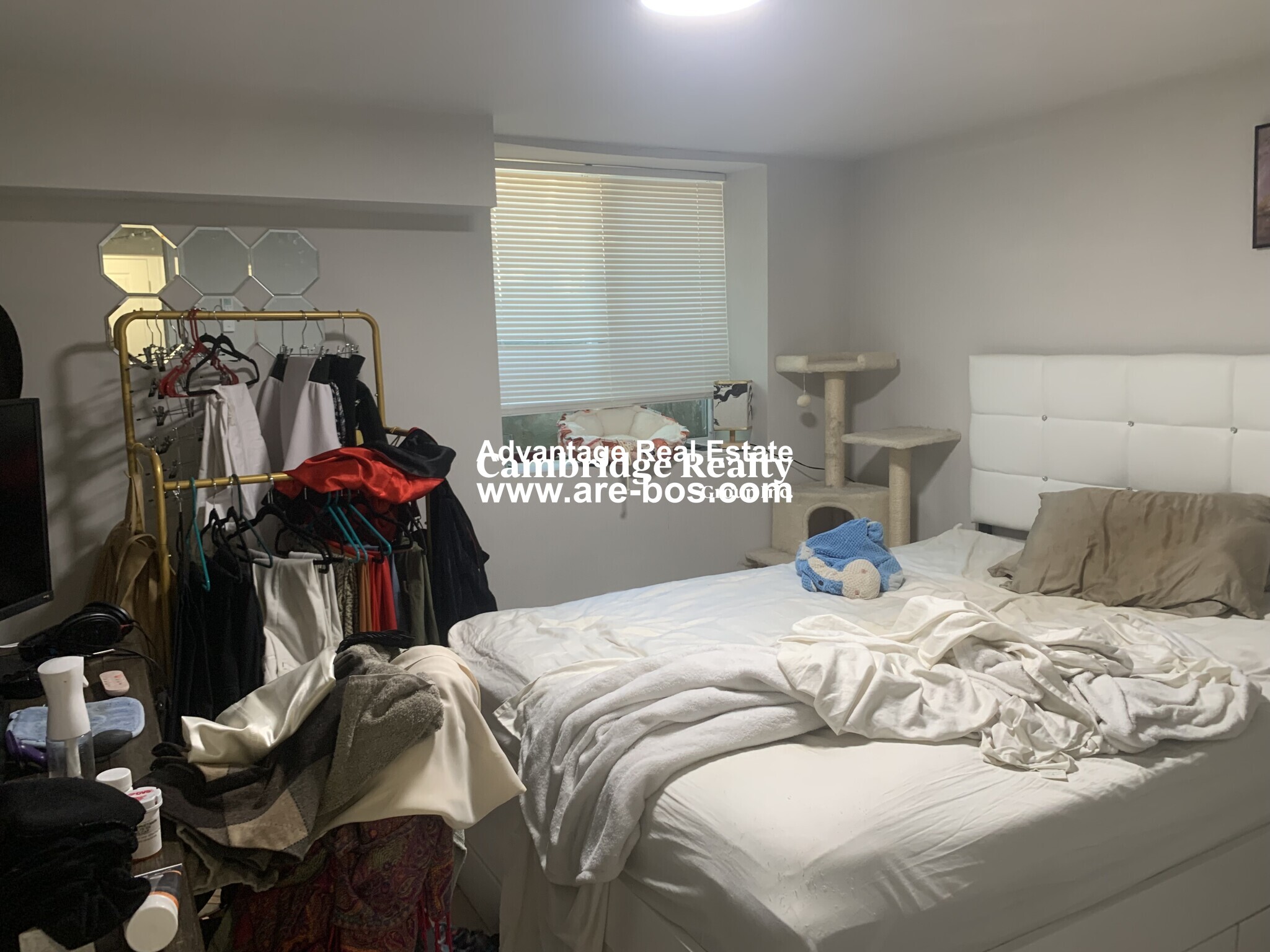 10 Harding St, Wellington-Harrington