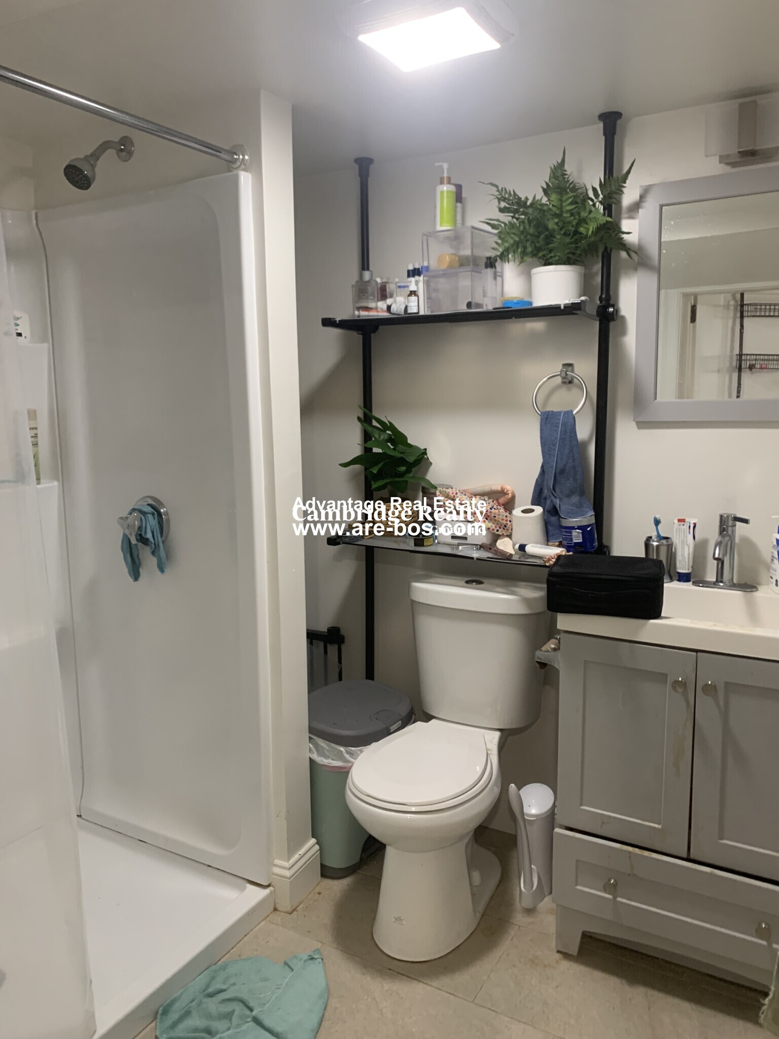 10 Harding St, Wellington-Harrington