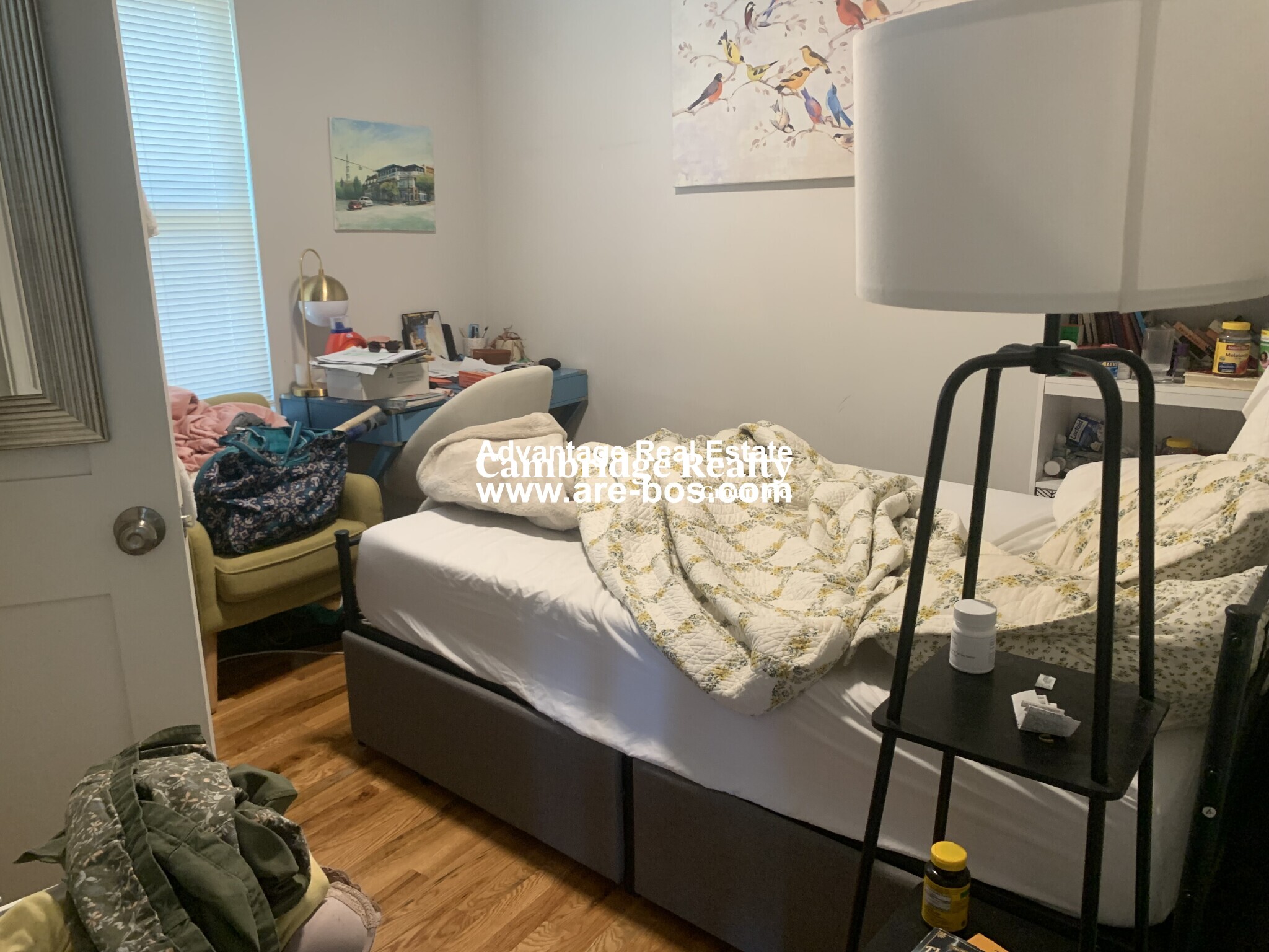 10 Harding St, Wellington-Harrington