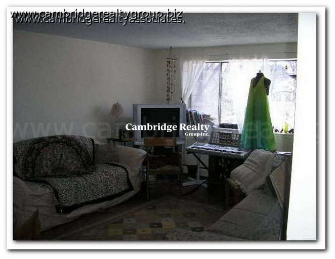 66 Homer Ave, West Cambridge