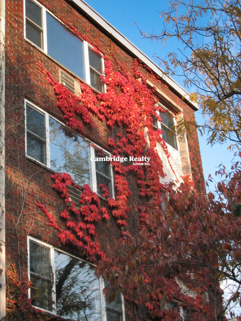 269 Harvard St, Mid-Cambridge