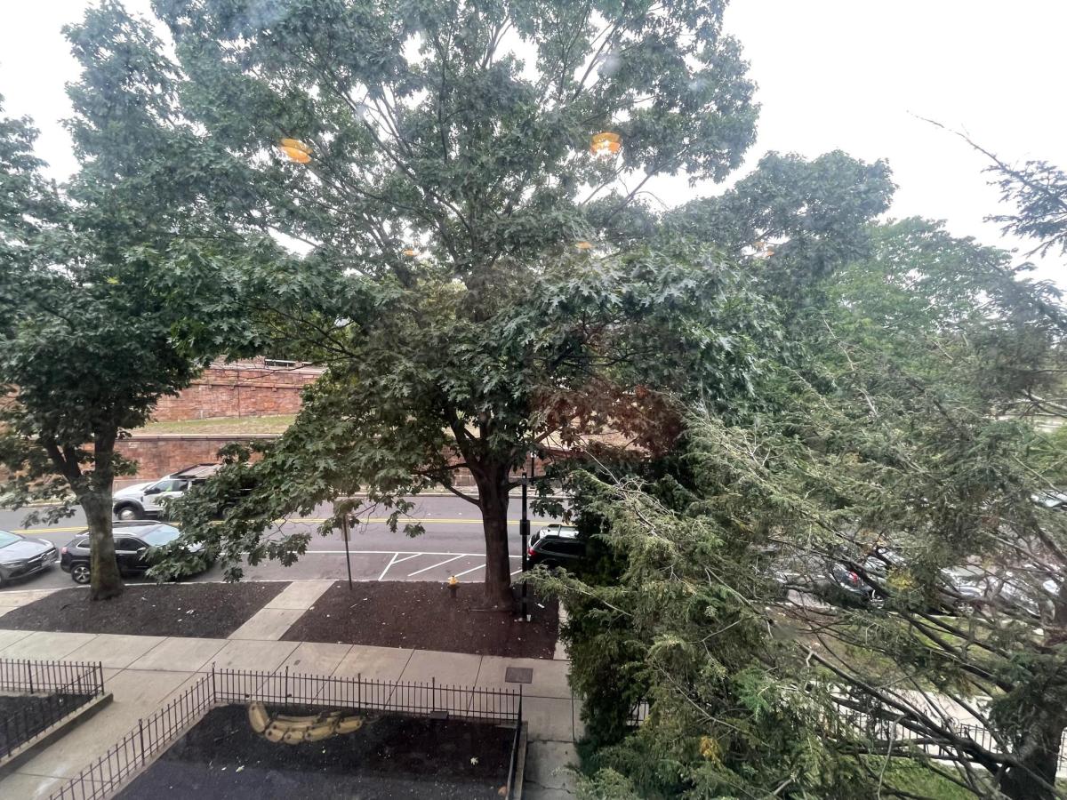 394 Riverway, Mission Hill