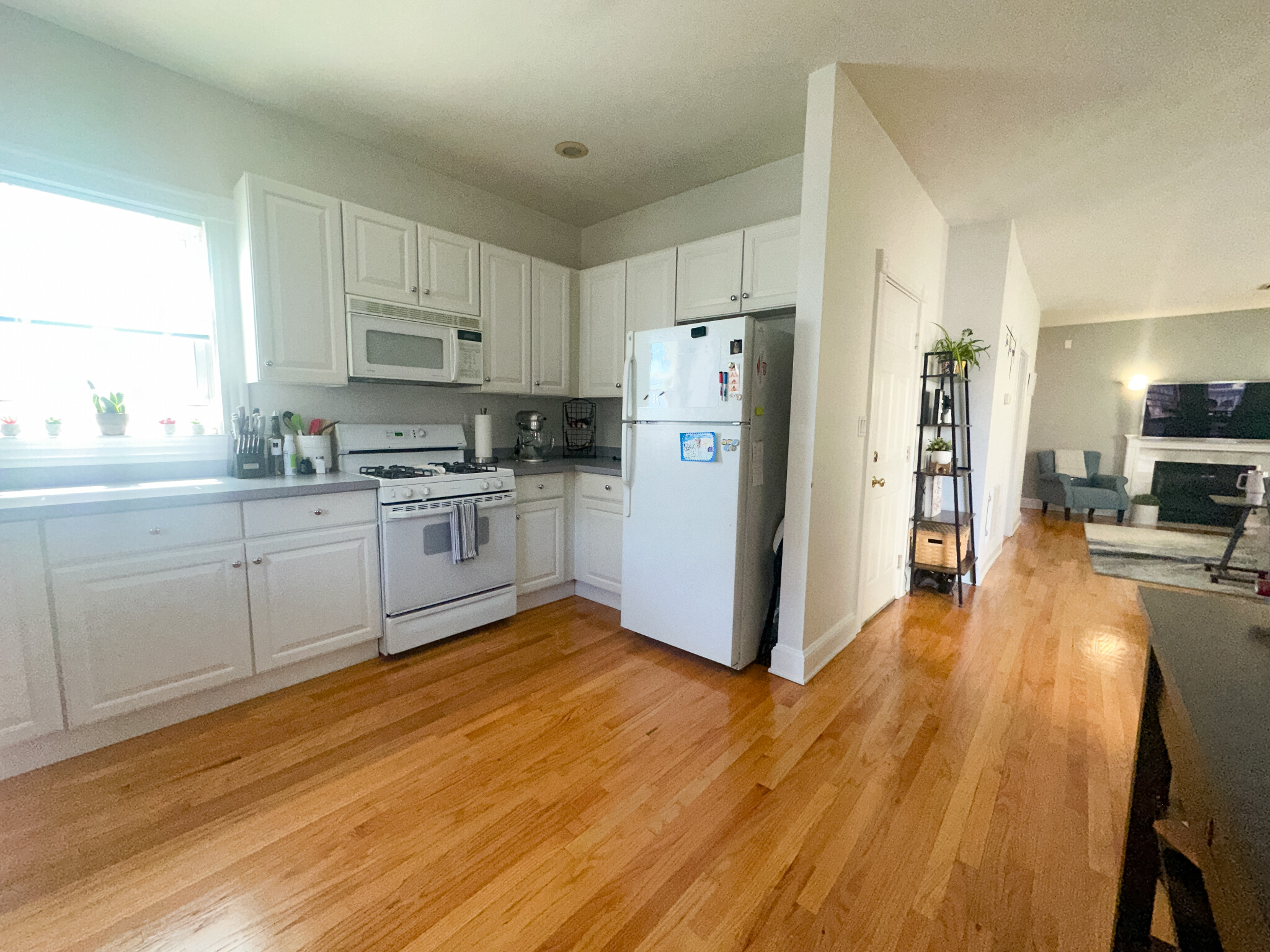 10 Douglas St, South Boston