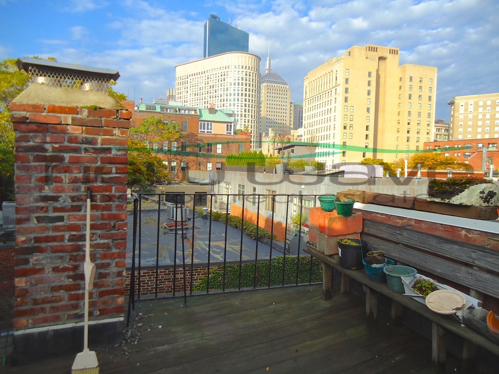 14 Melrose St, South End